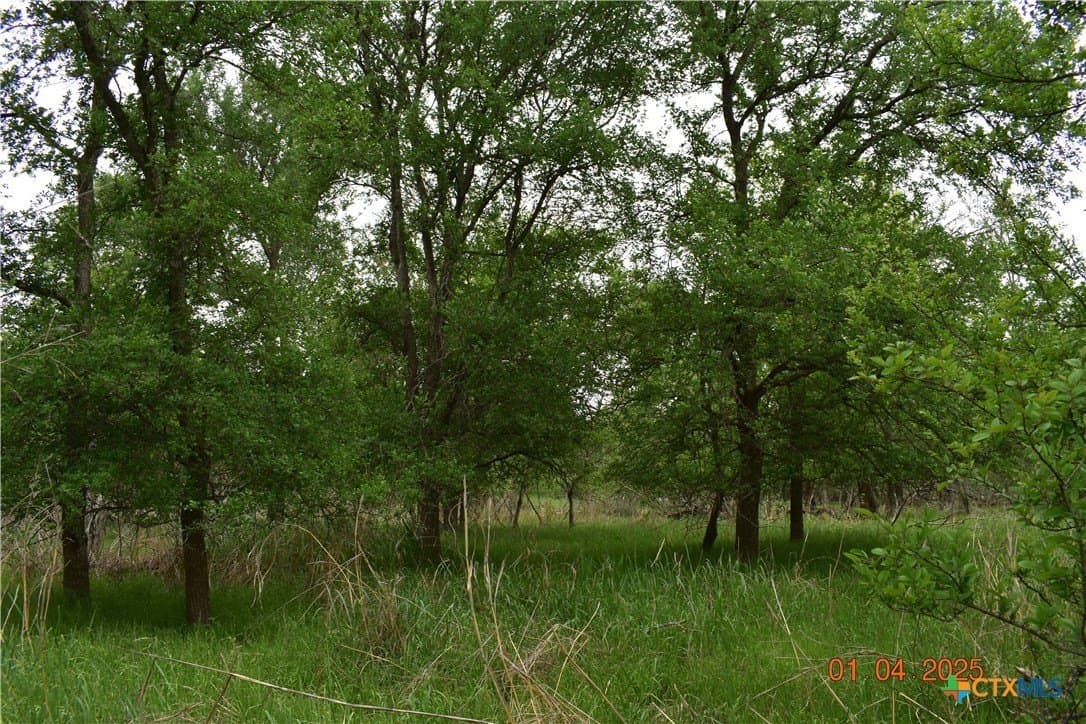 11 acres in Comal County gallery image 4