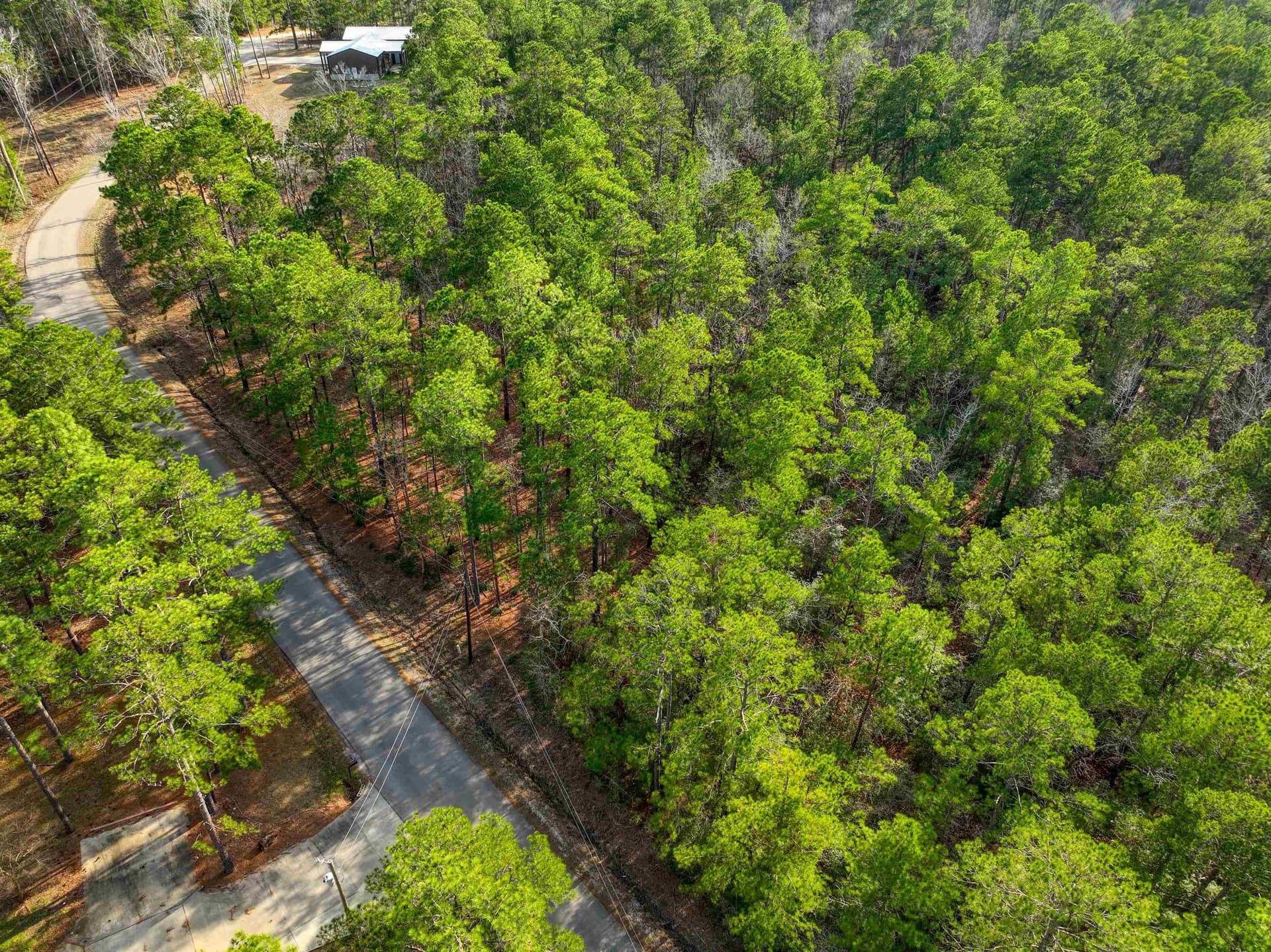 1.55 acres in Texas County - photo 13