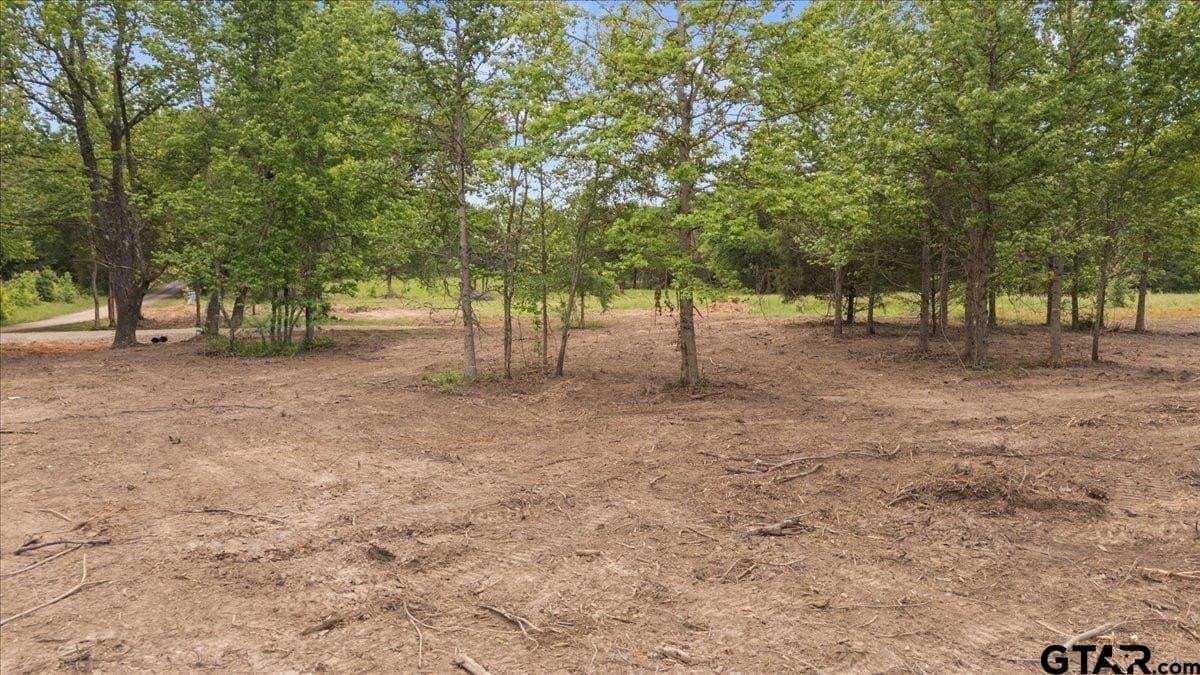 3.59 acres in Panola County - photo 15
