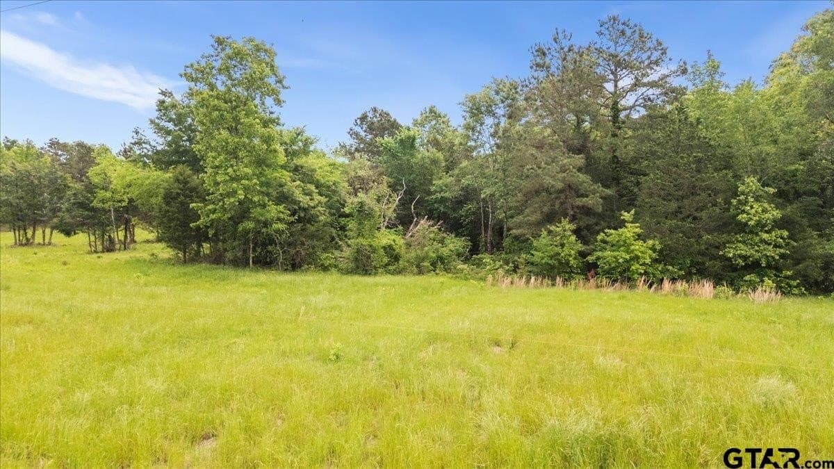 3.59 acres in Panola County - photo 18