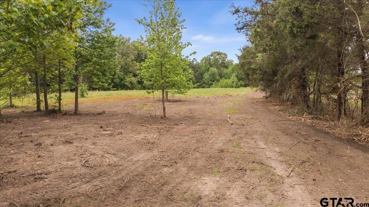 3.59 acres in Panola County - photo 16