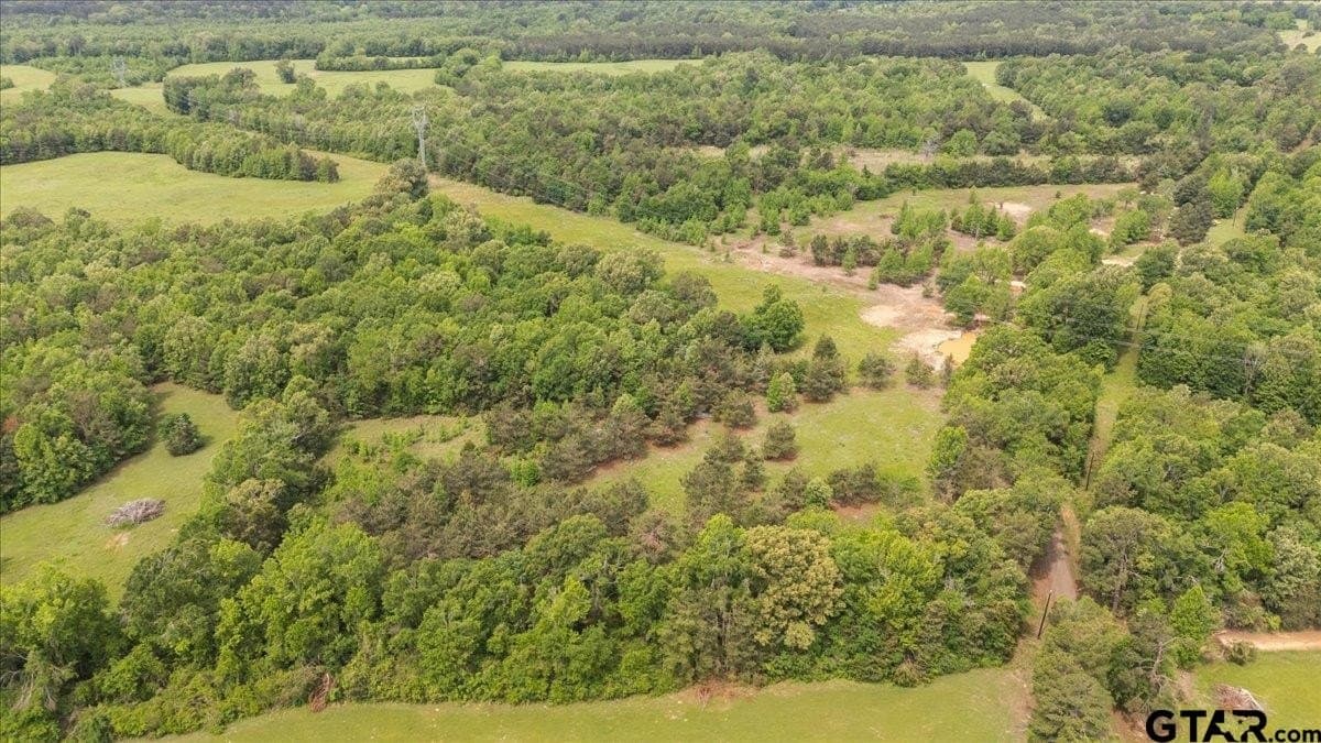 3.59 acres in Panola County - photo 6