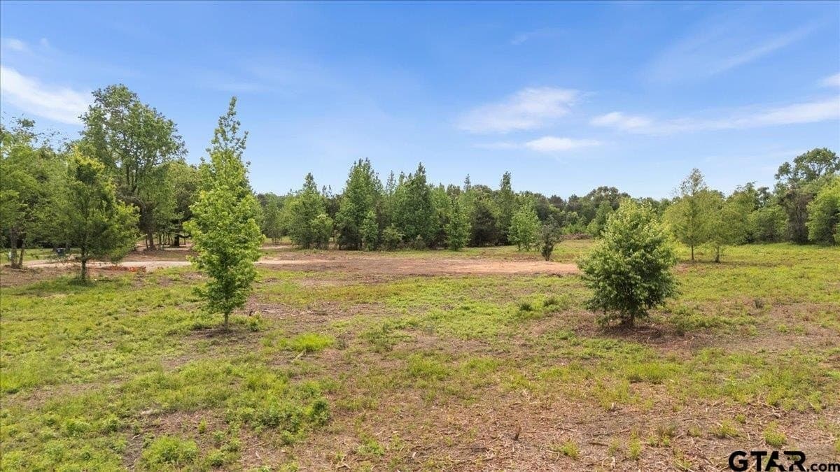 3.59 acres in Panola County - photo 10