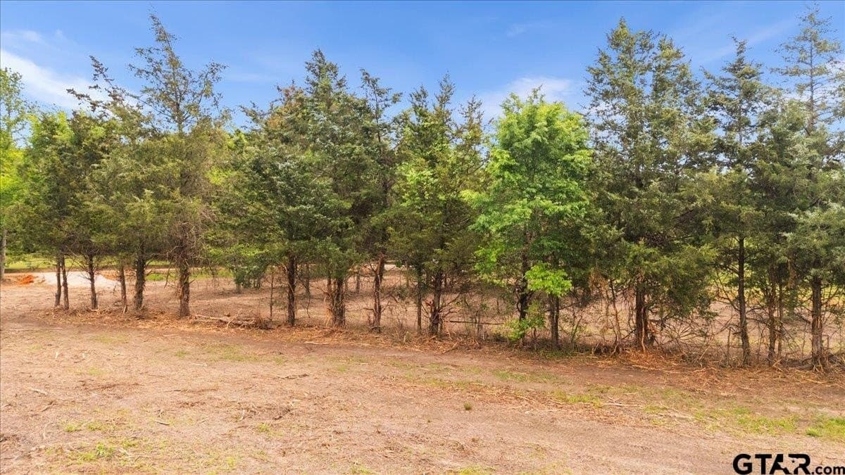 3.59 acres in Panola County - photo 13