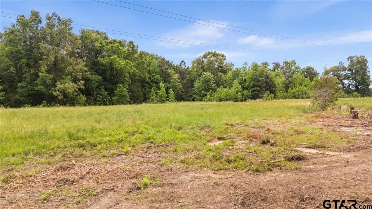 3.59 acres in Panola County - photo 17