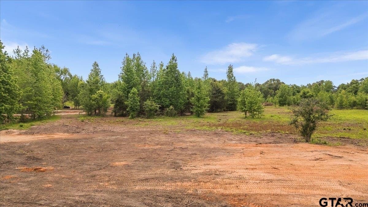 3.59 acres in Panola County - photo 11