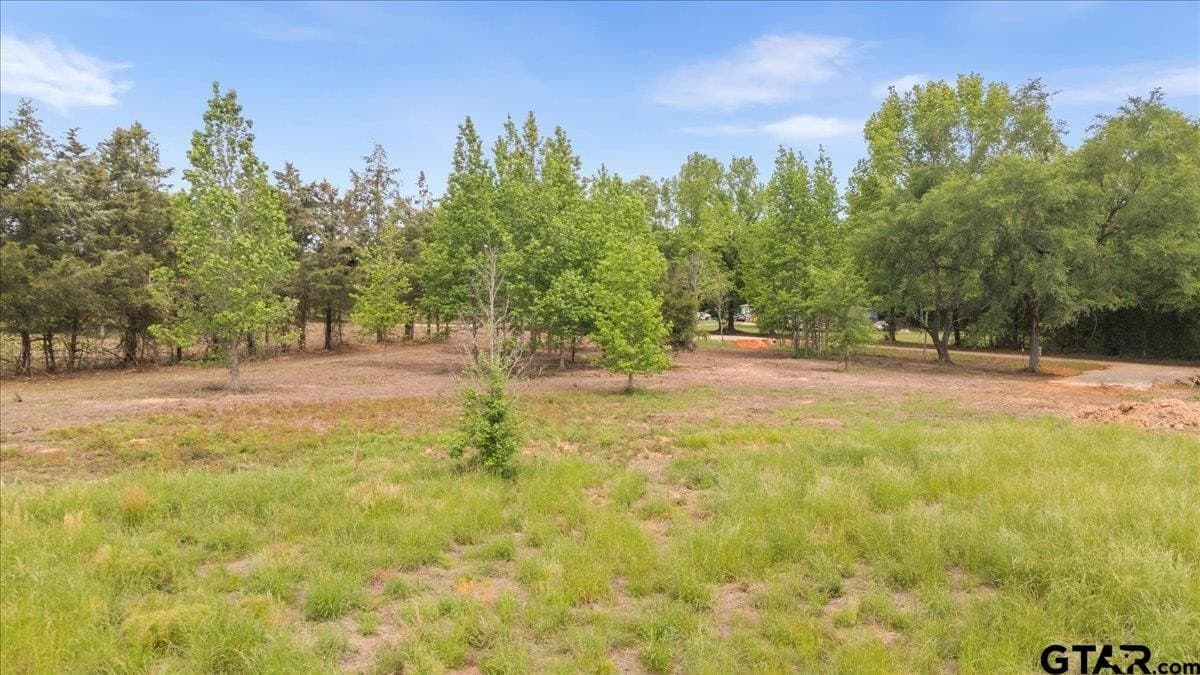 3.59 acres in Panola County - photo 19