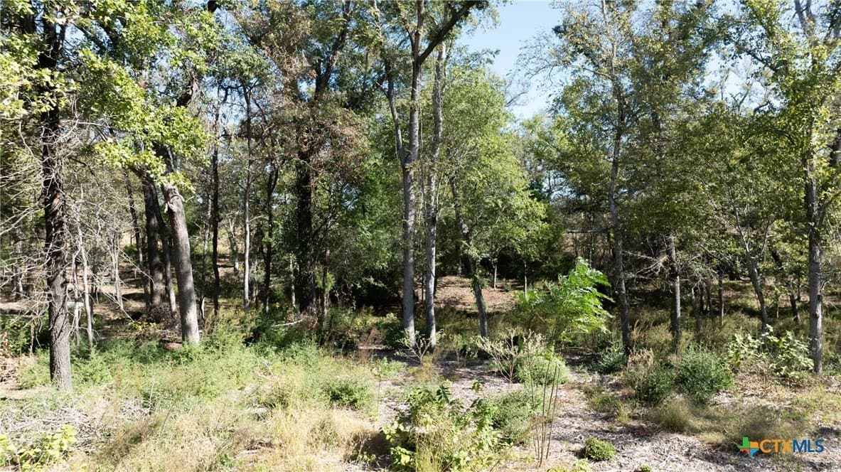 3.75 acres in Milam County - photo 17