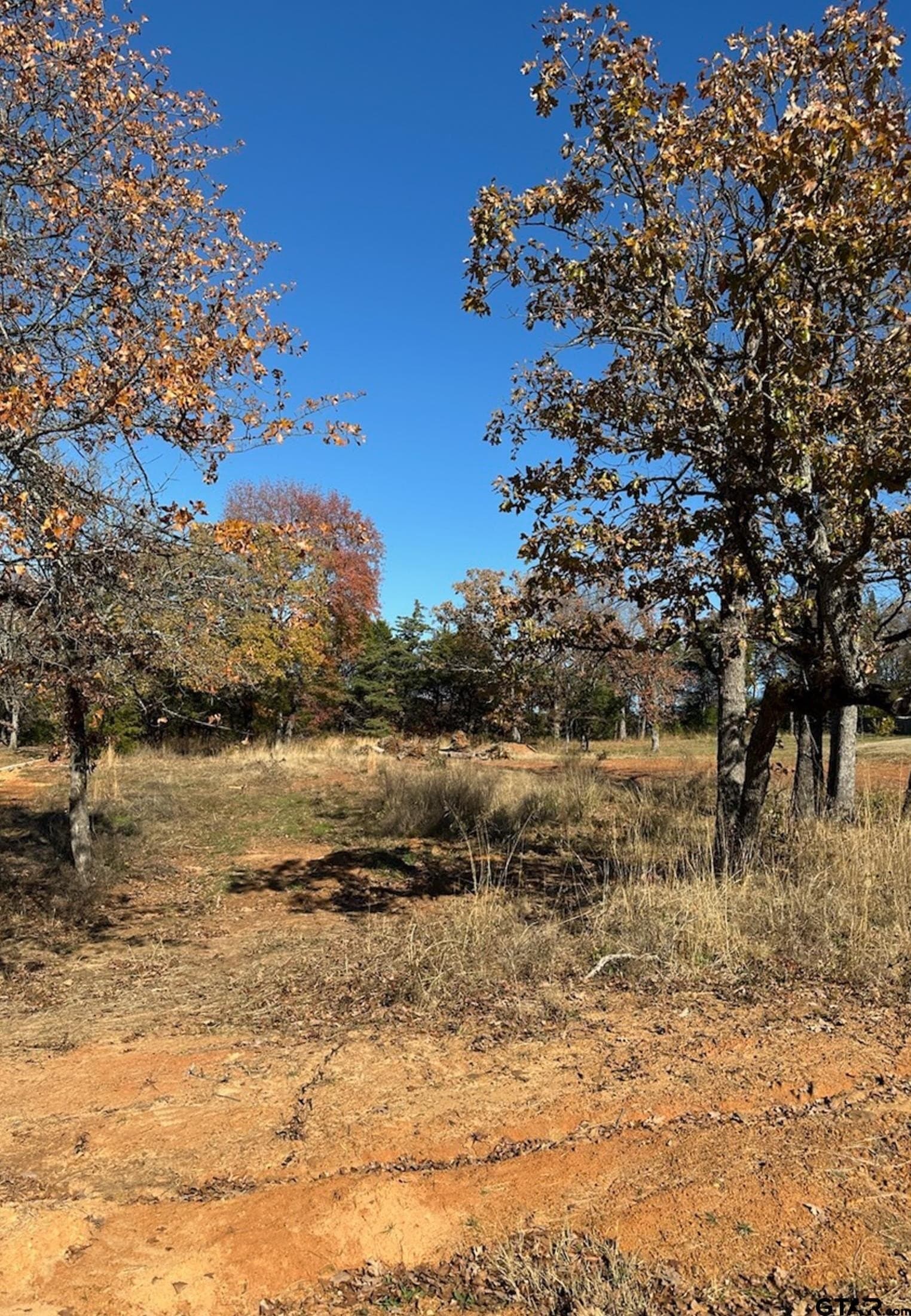 1 acres in Smith County gallery image 2