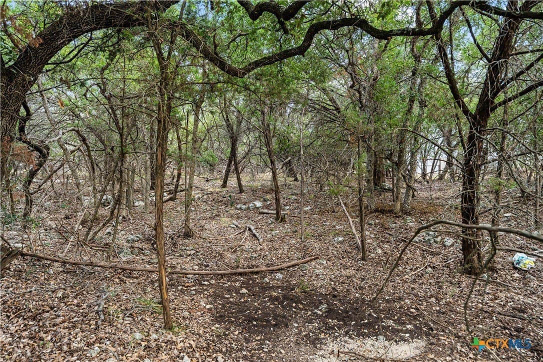 0.4 acres in Bell County - photo 8