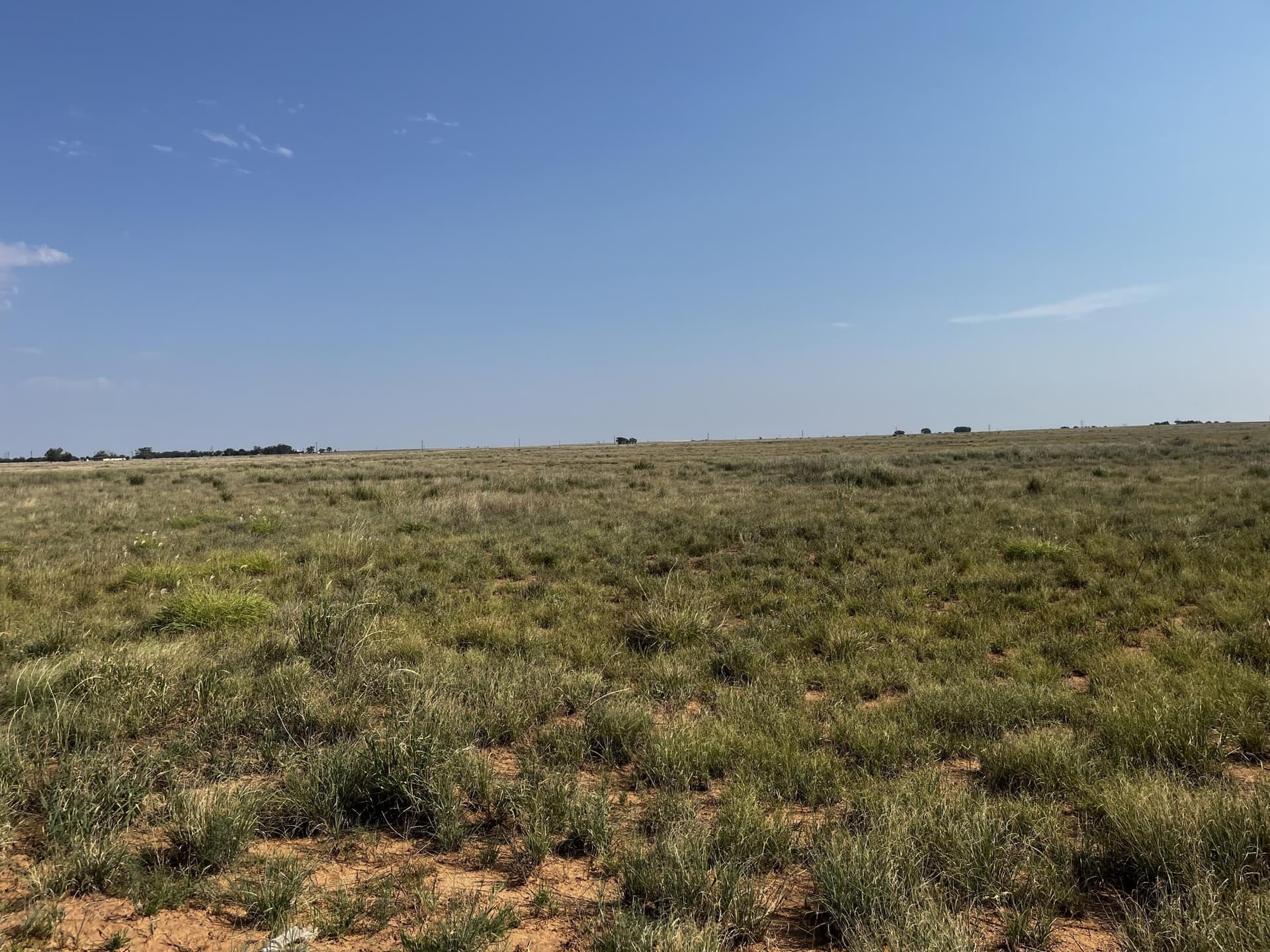 88.5 acres in Hockley County - photo 20
