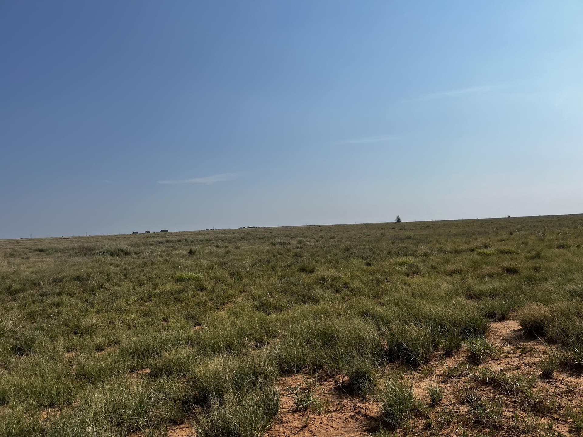 88.5 acres in Hockley County - photo 25