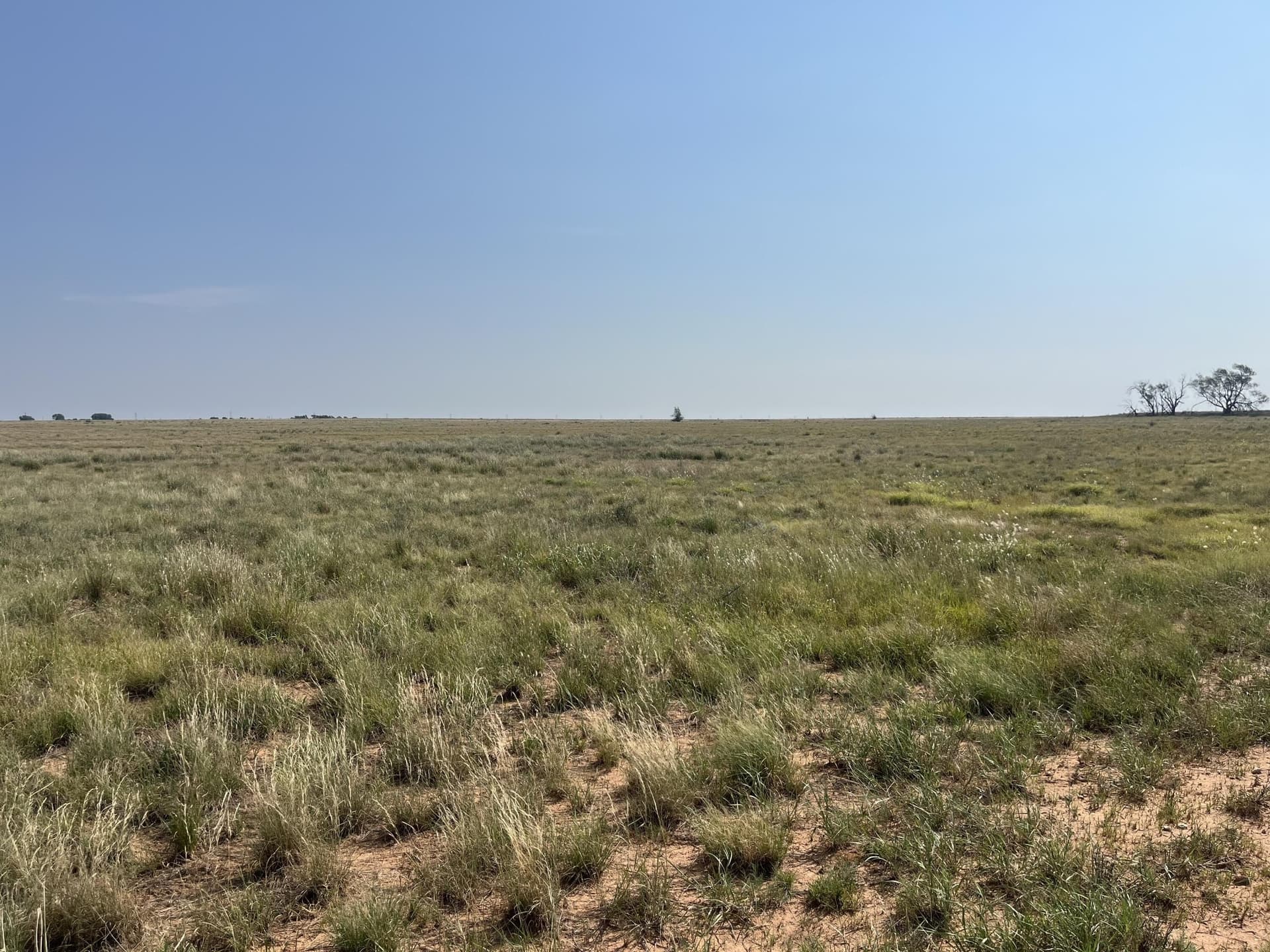 88.5 acres in Hockley County - photo 16