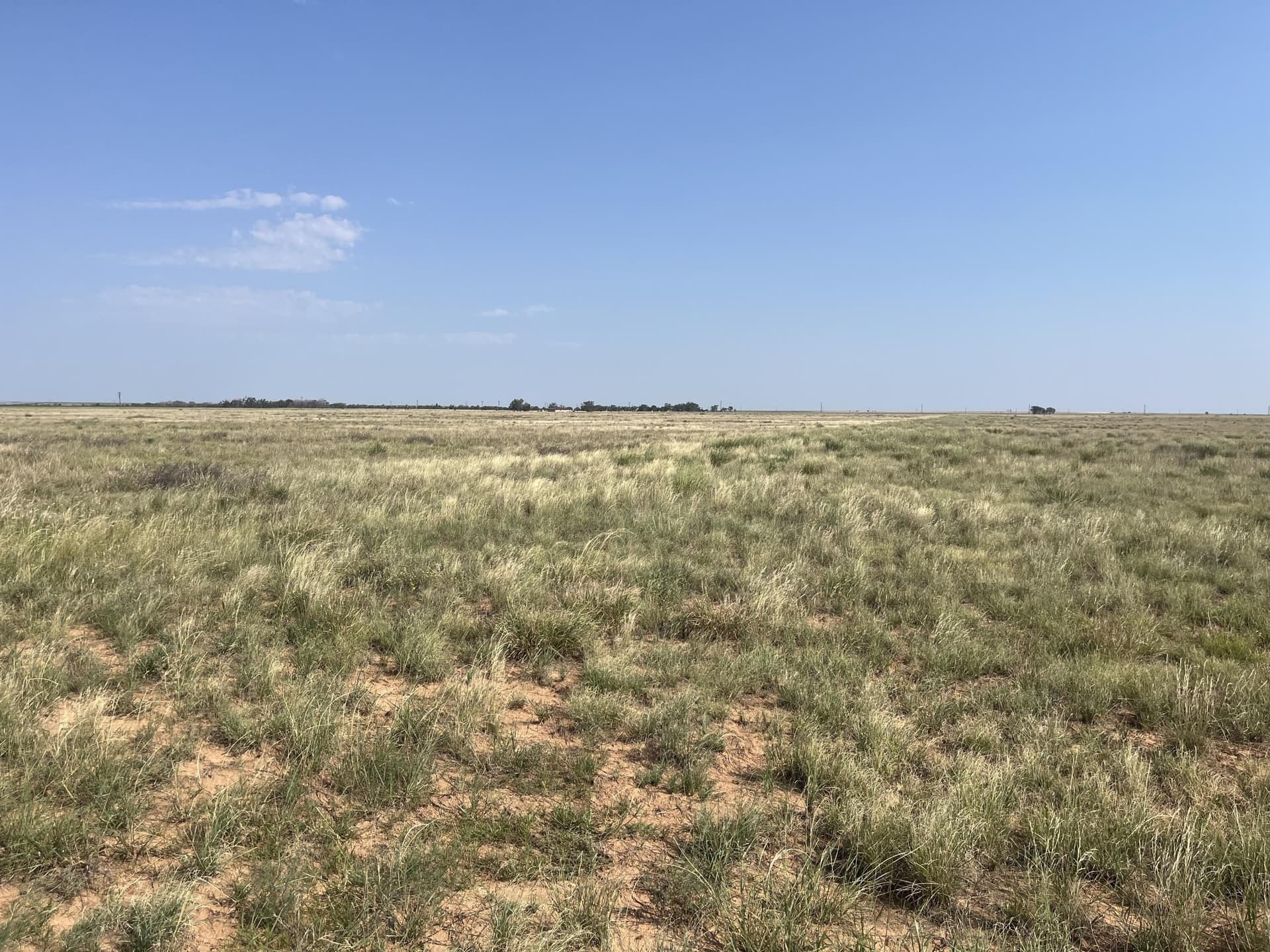 88.5 acres in Hockley County - photo 3