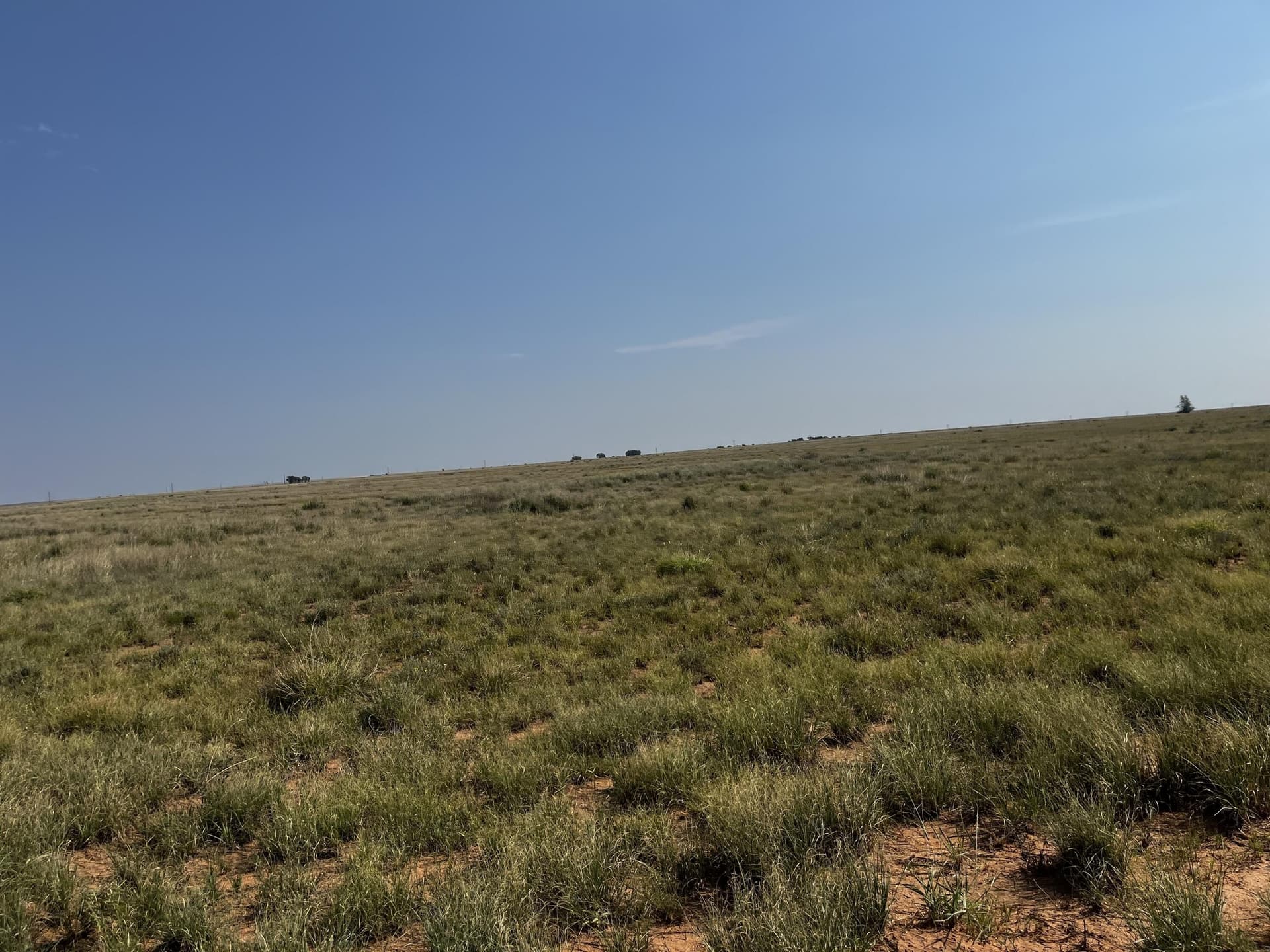 88.5 acres in Hockley County - photo 21