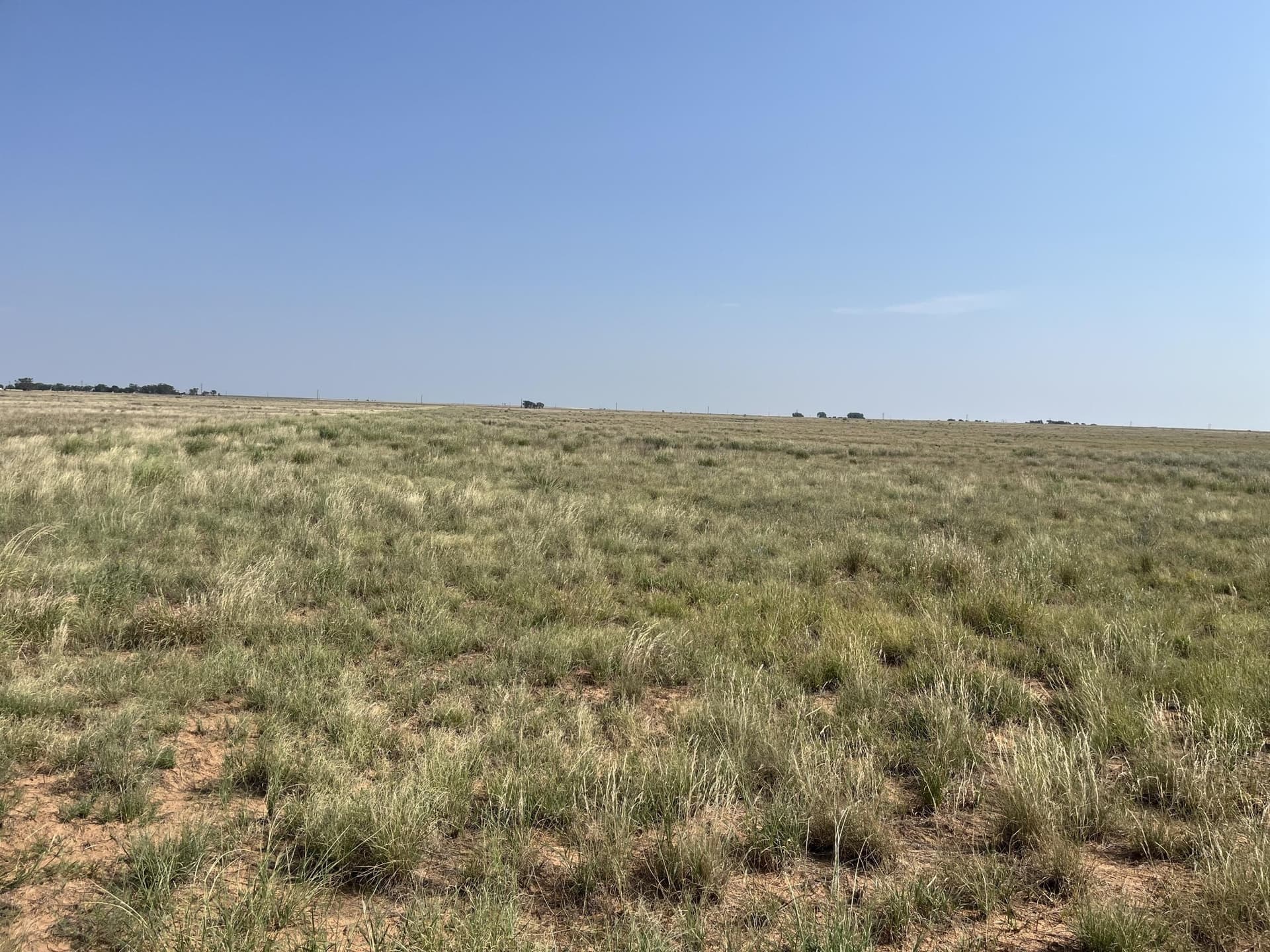 88.5 acres in Hockley County - photo 4