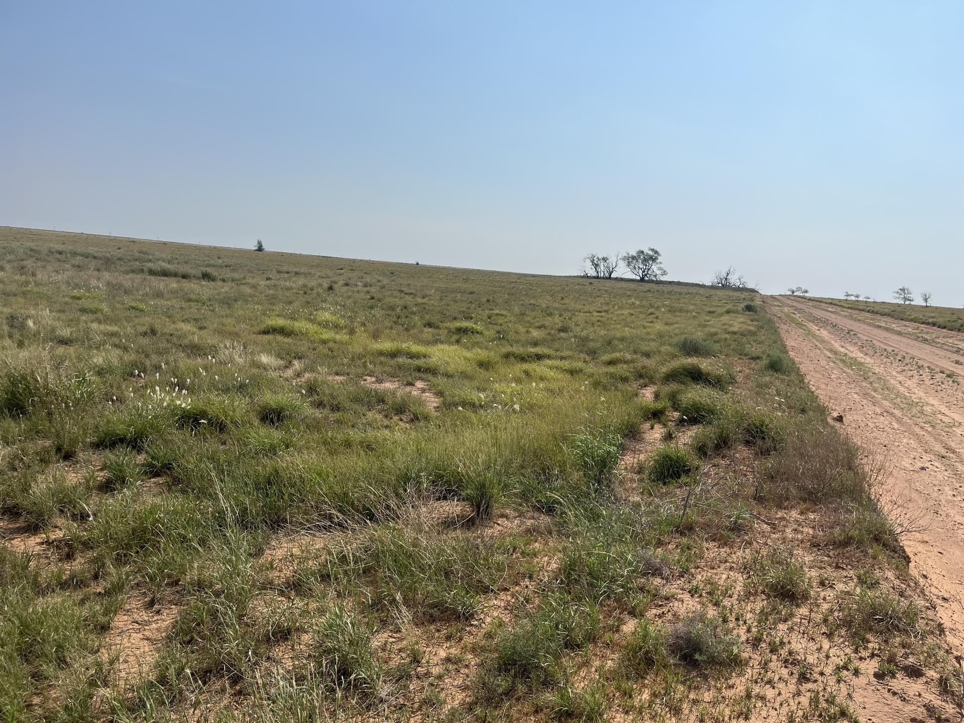 88.5 acres in Hockley County - photo 2