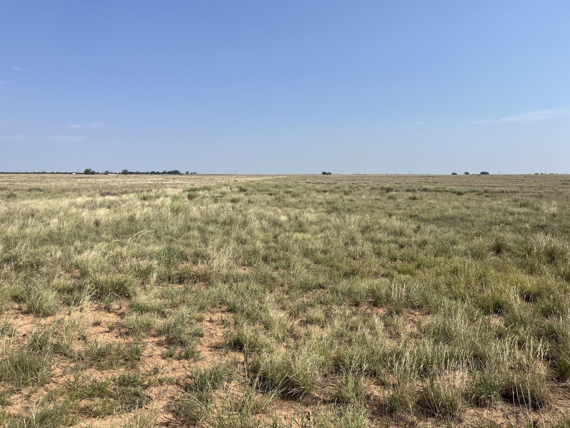 88.5 acres in Hockley County - photo 15