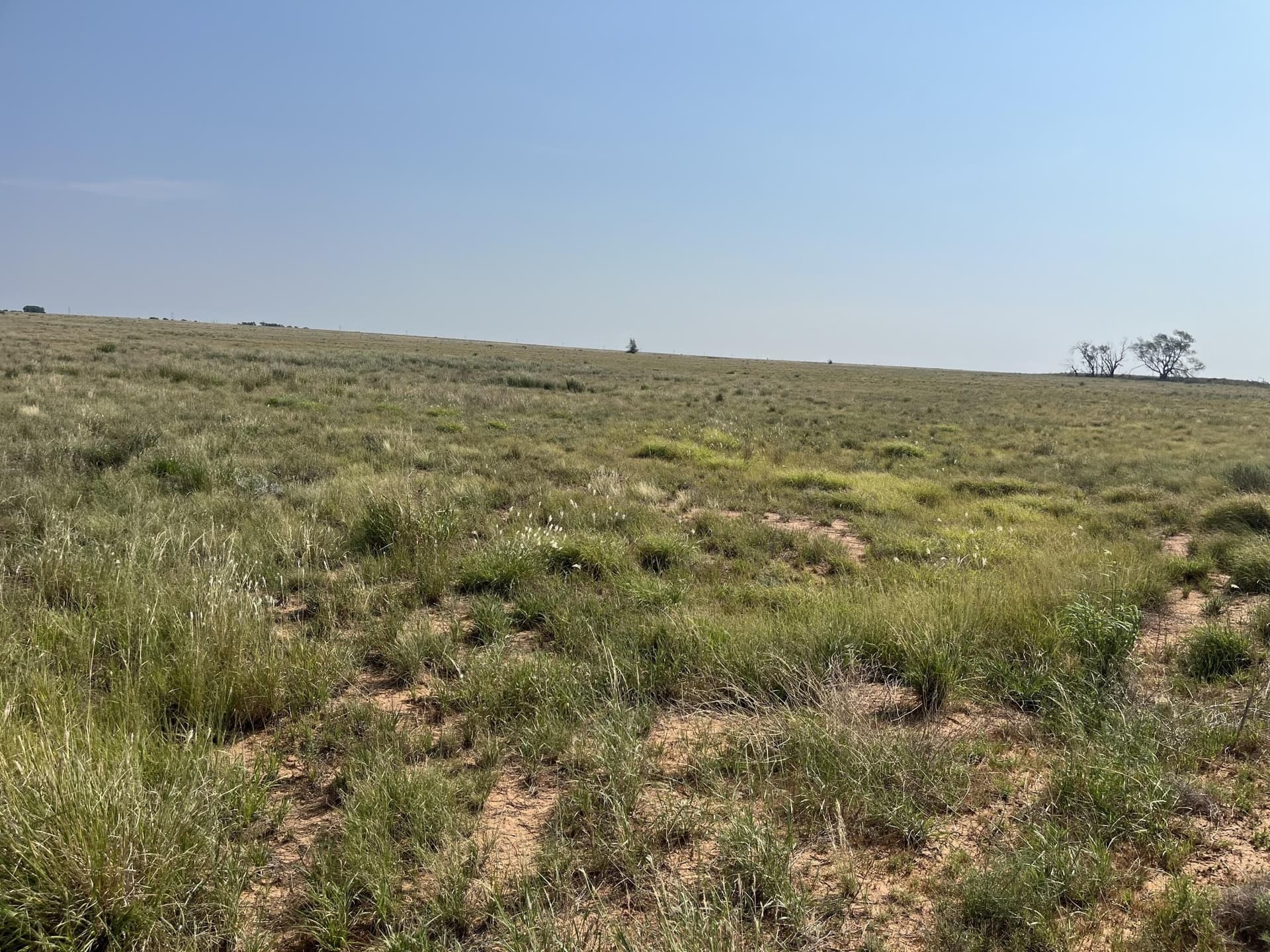 88.5 acres in Hockley County - photo 12