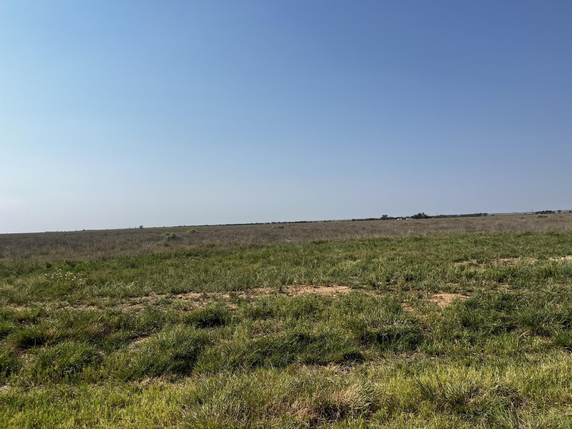 88.5 acres in Hockley County - photo 13
