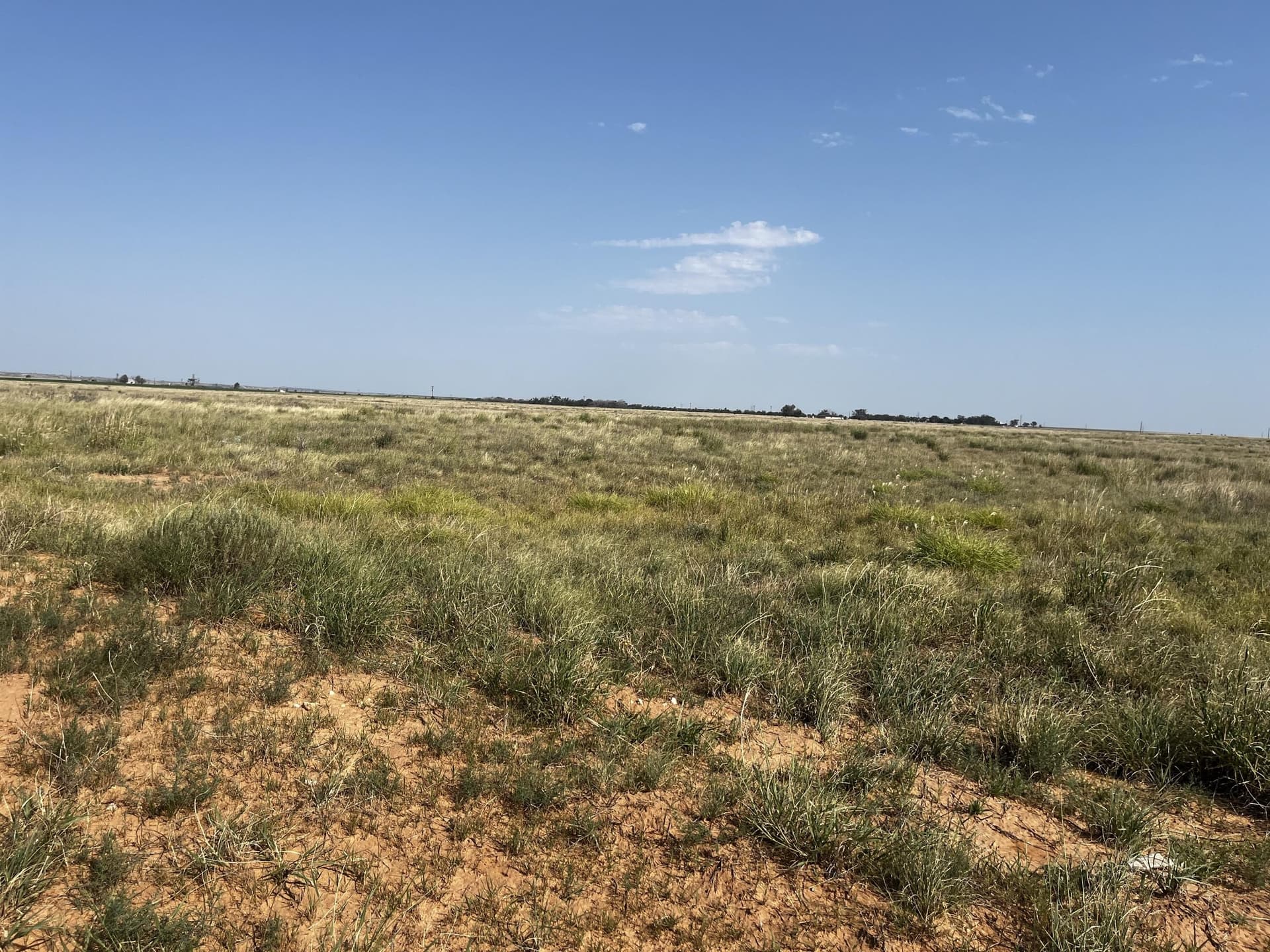 88.5 acres in Hockley County - photo 23