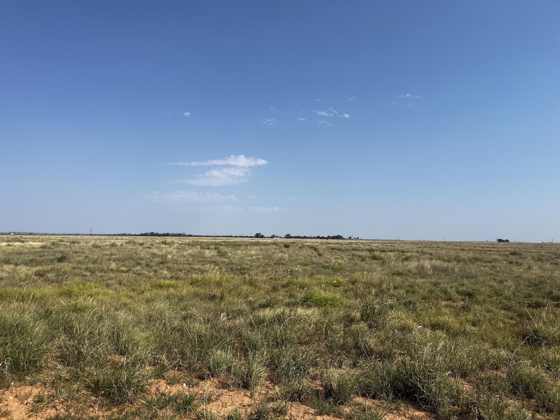 88.5 acres in Hockley County - photo 18