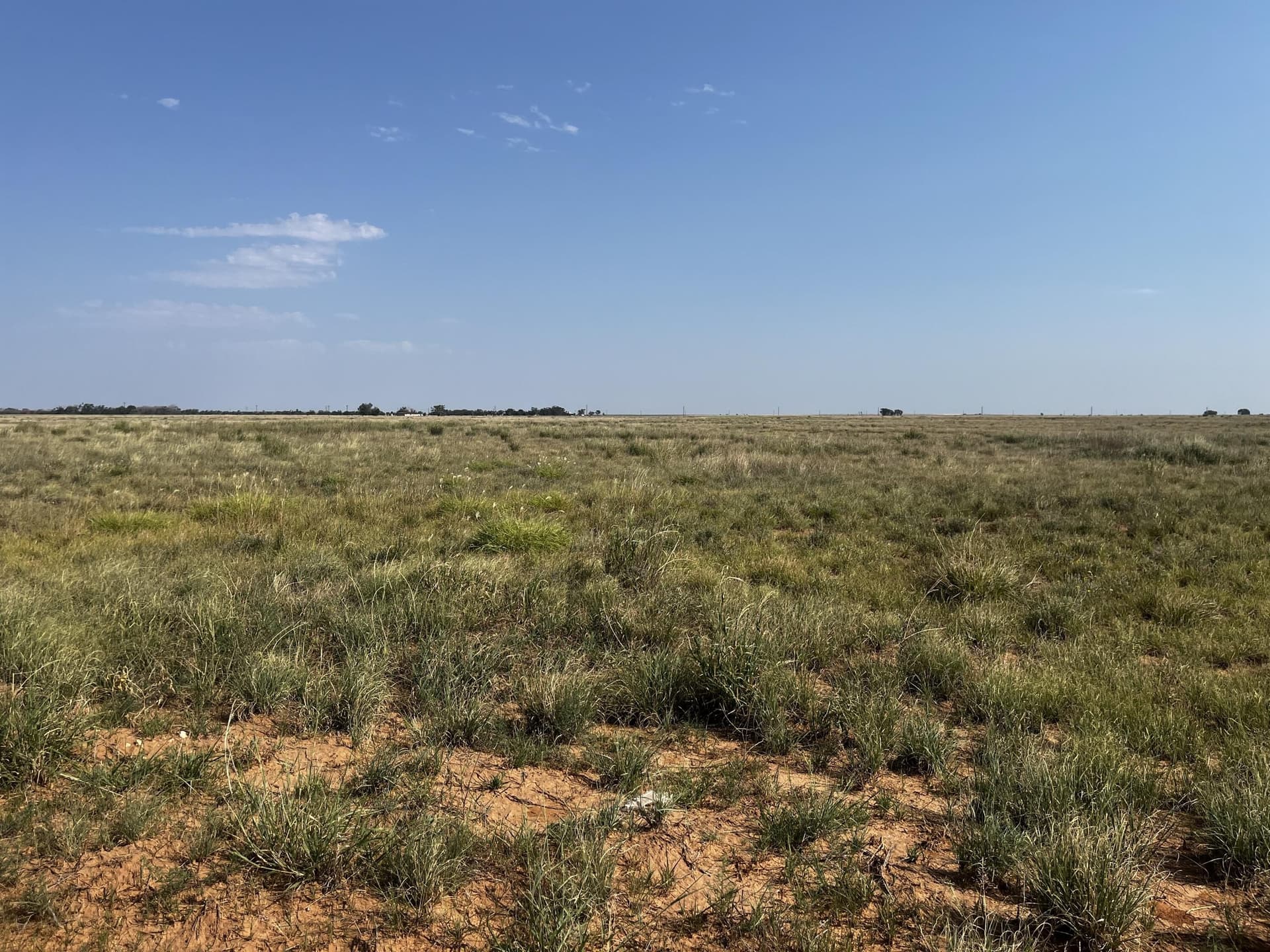 88.5 acres in Hockley County - photo 24