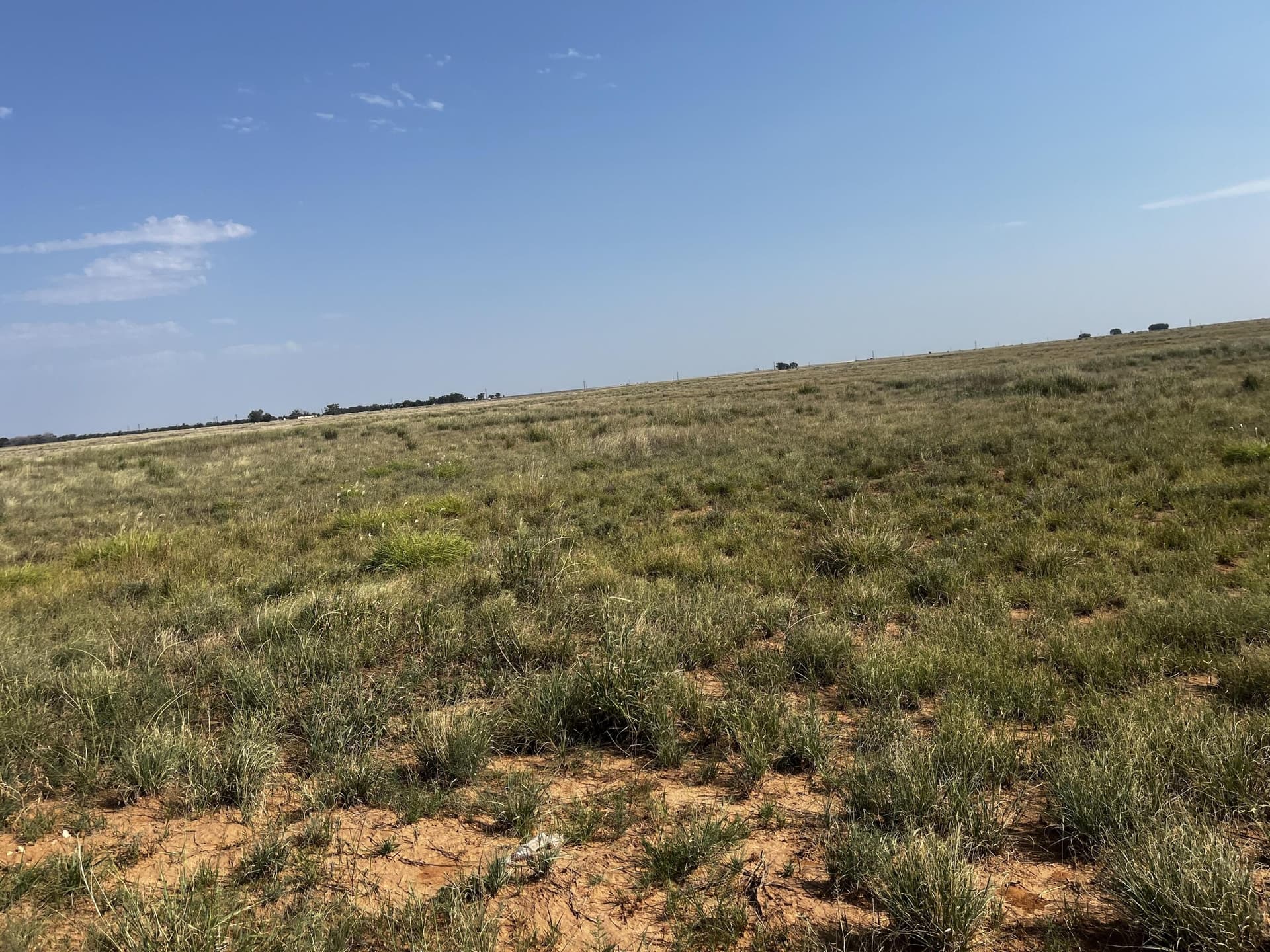 88.5 acres in Hockley County - photo 19