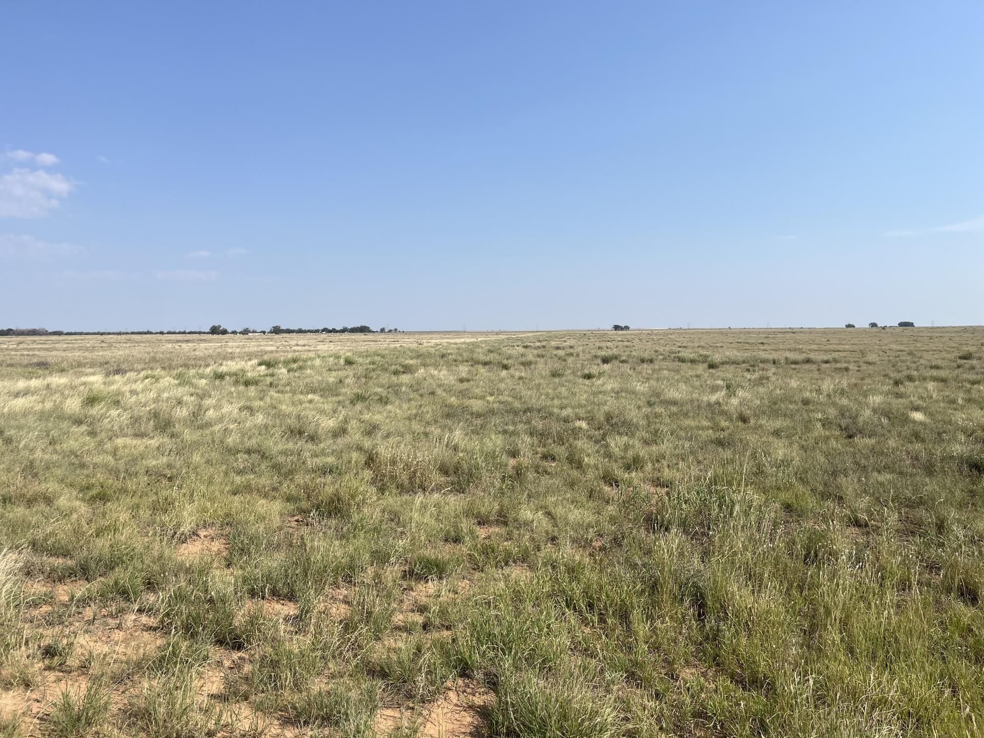 88.5 acres in Hockley County - photo 8