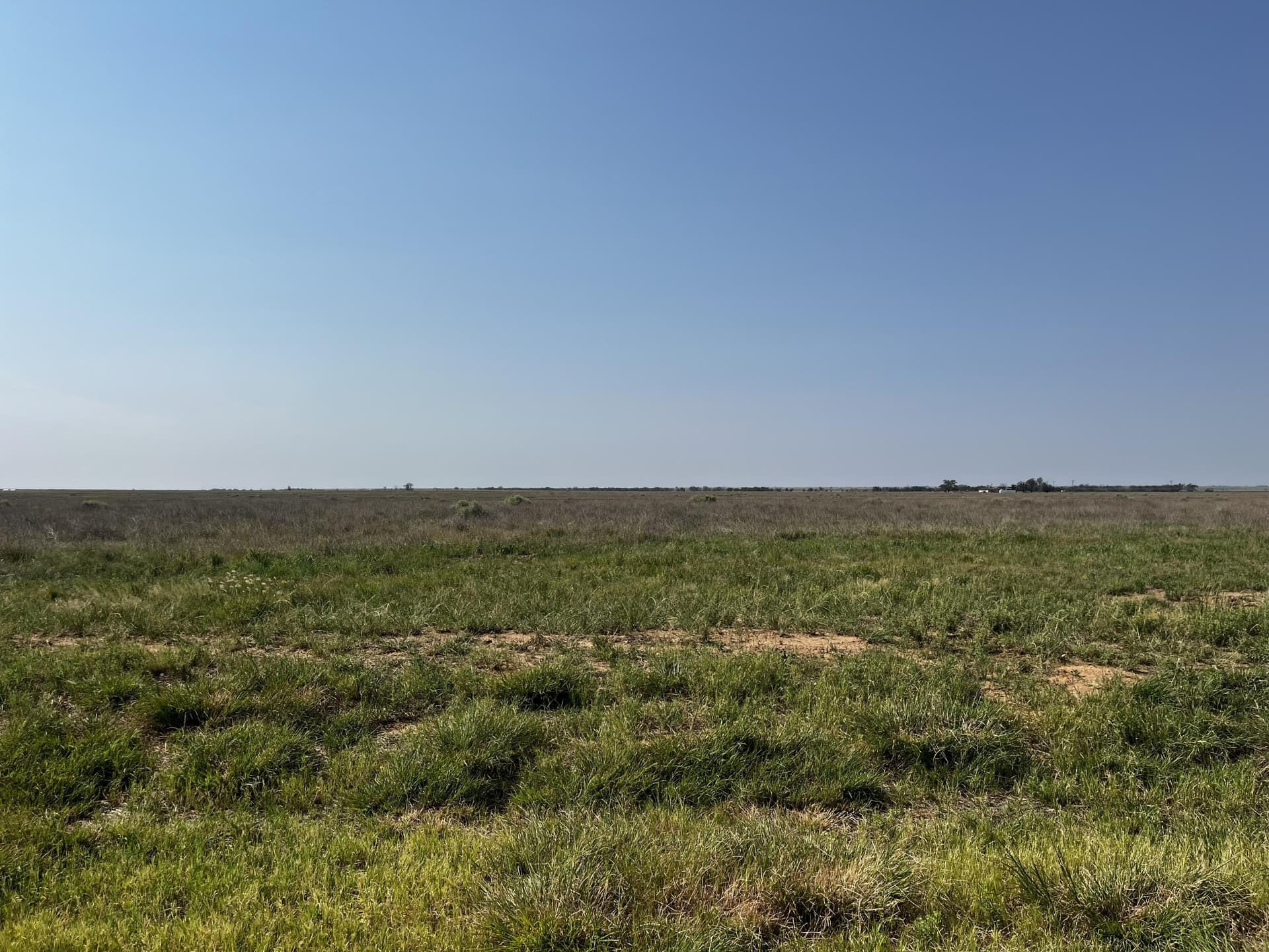 88.5 acres in Hockley County - photo 14