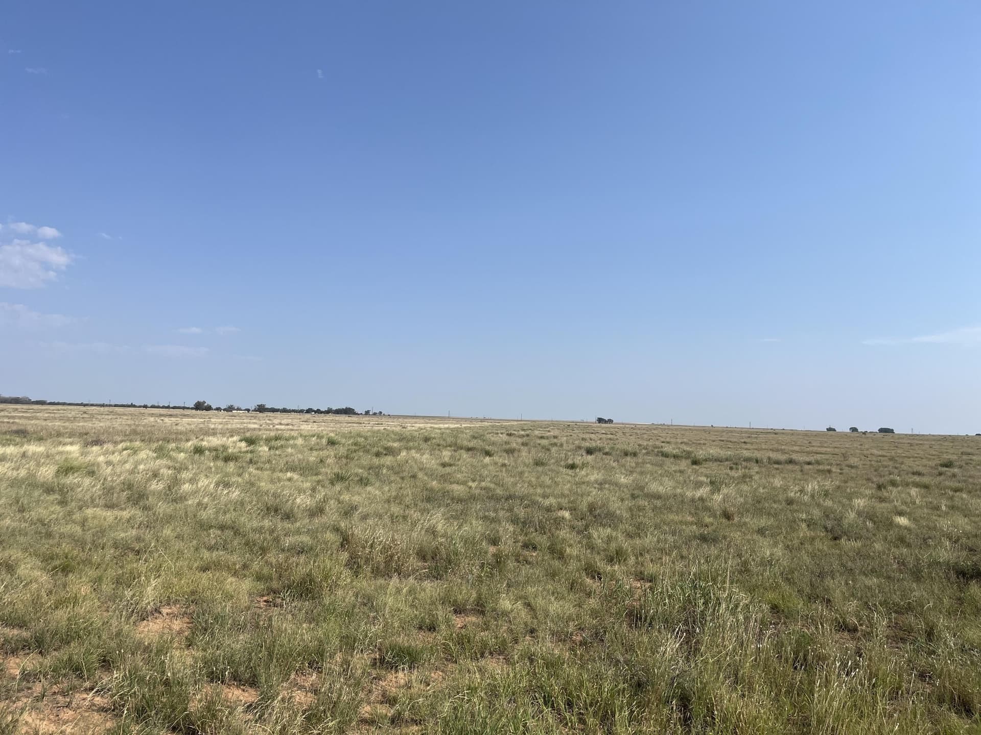 88.5 acres in Hockley County - photo 10