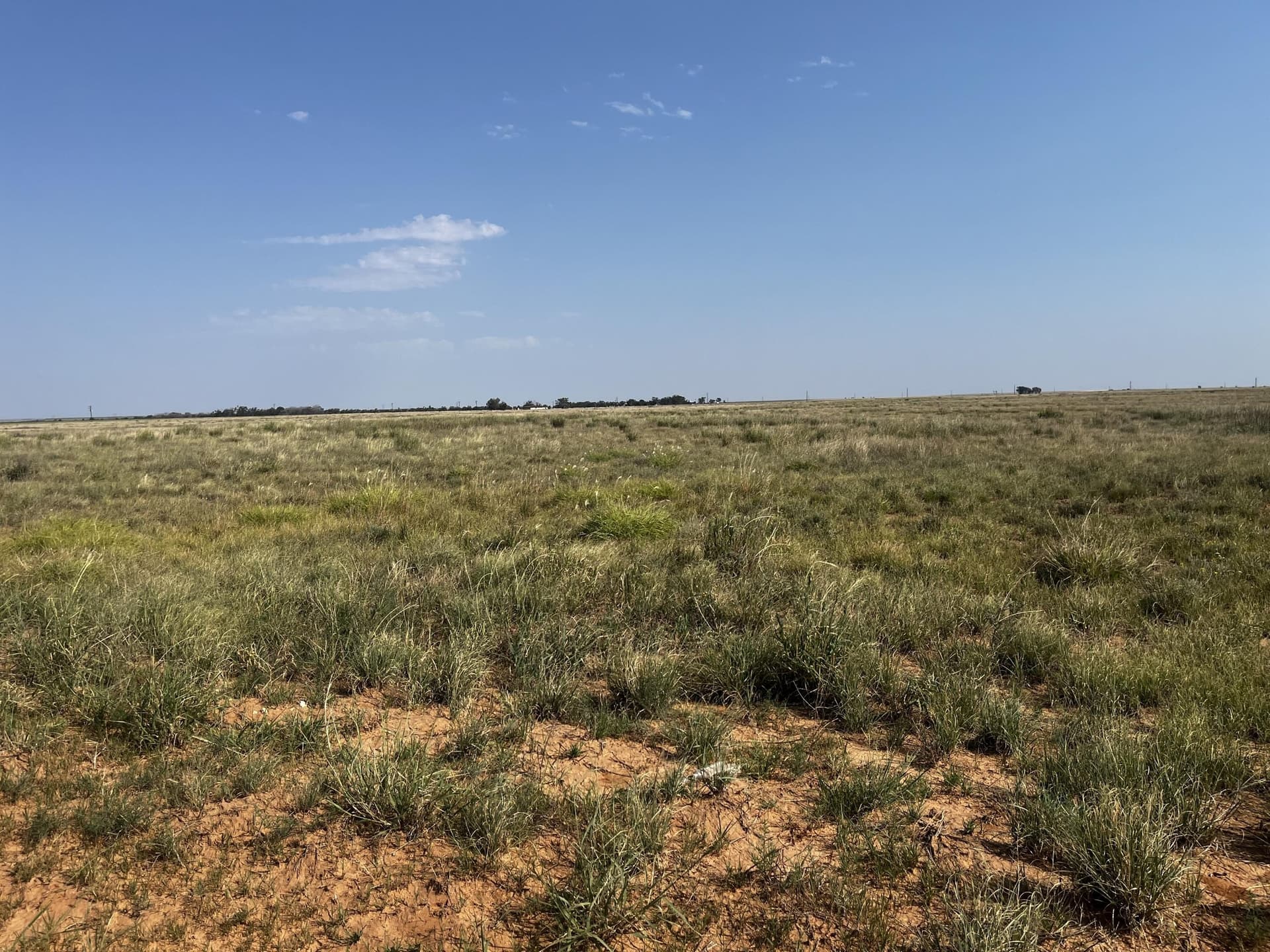 88.5 acres in Hockley County - photo 17