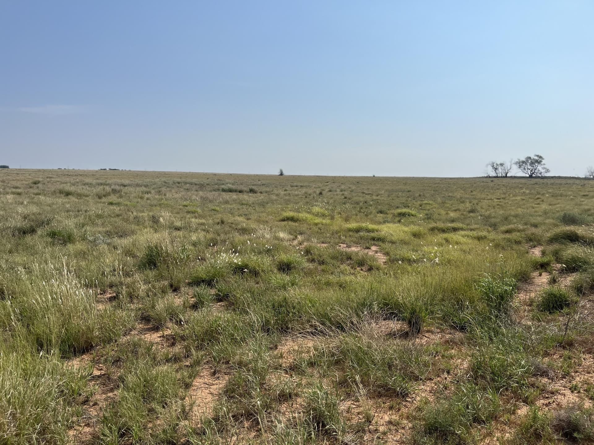 88.5 acres in Hockley County - photo 5