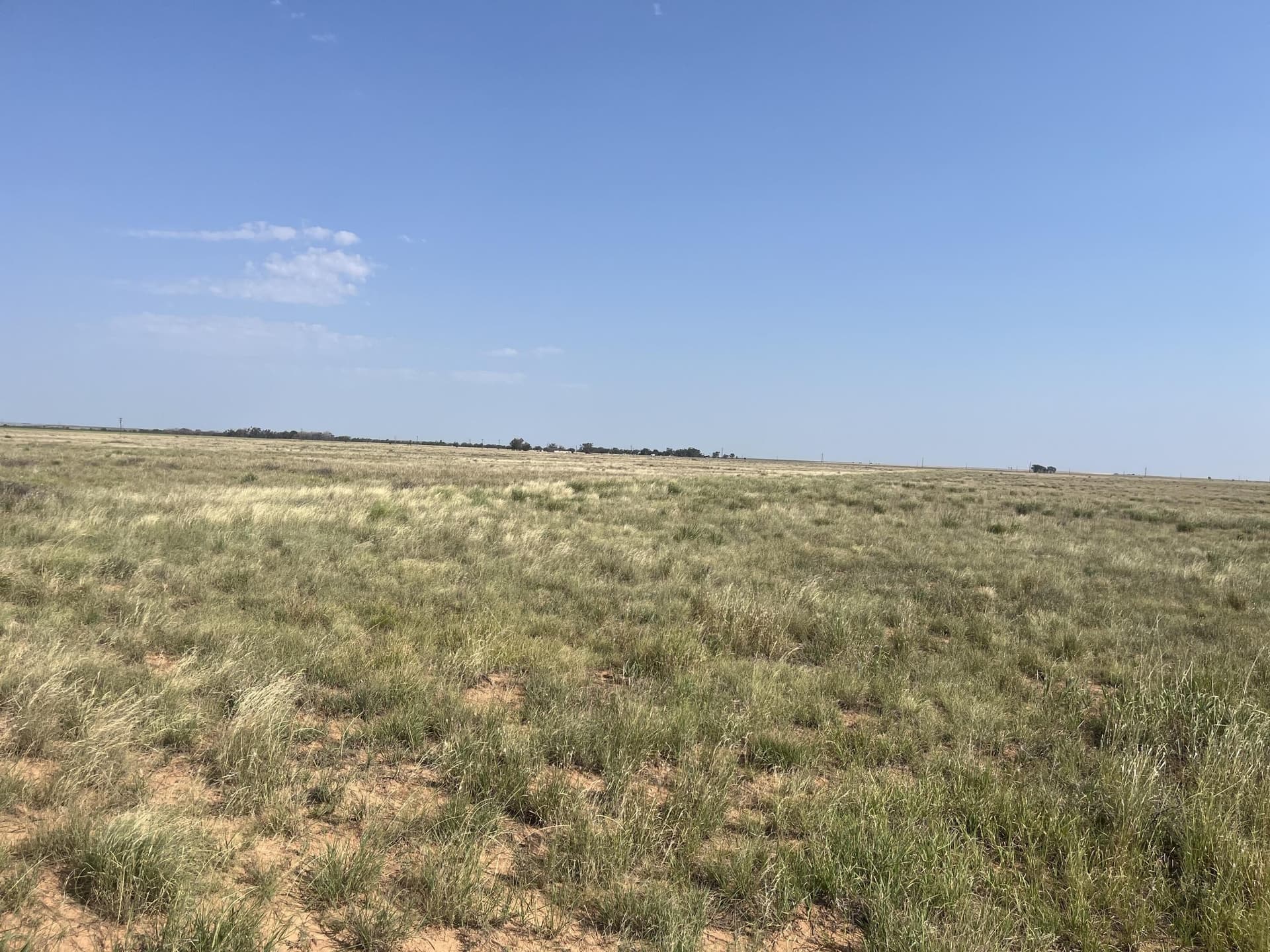 88.5 acres in Hockley County - photo 9