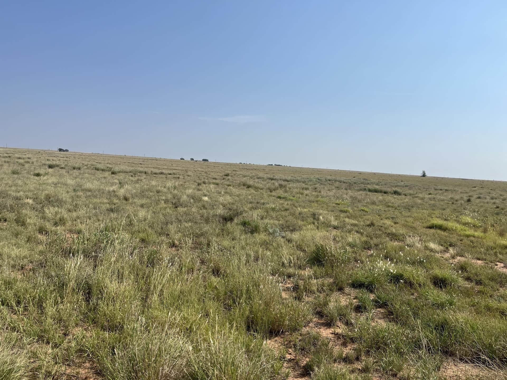 88.5 acres in Hockley County - photo 11