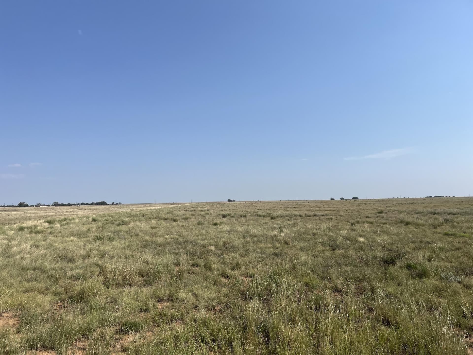 88.5 acres in Hockley County - photo 7