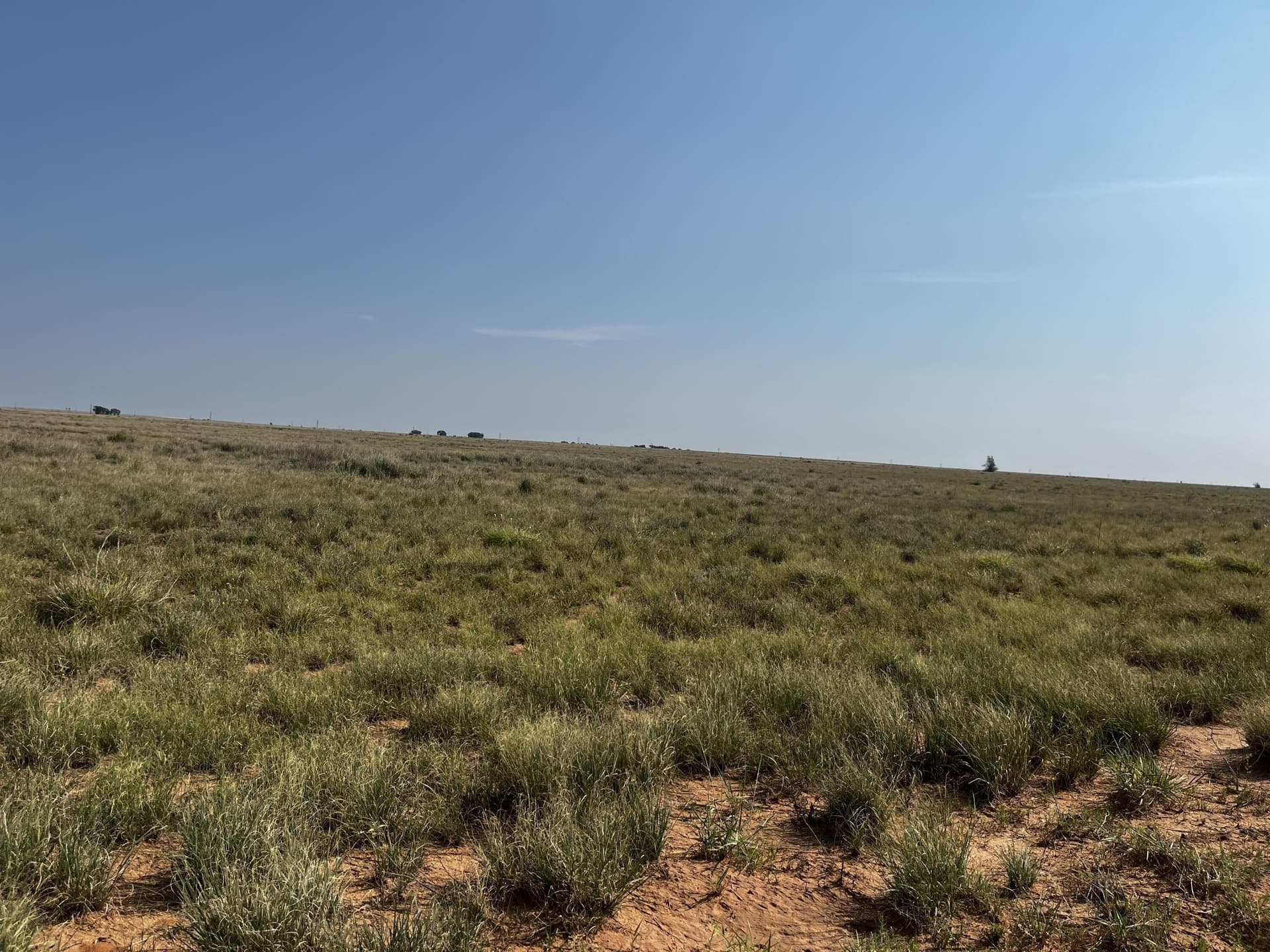 88.5 acres in Hockley County - photo 22