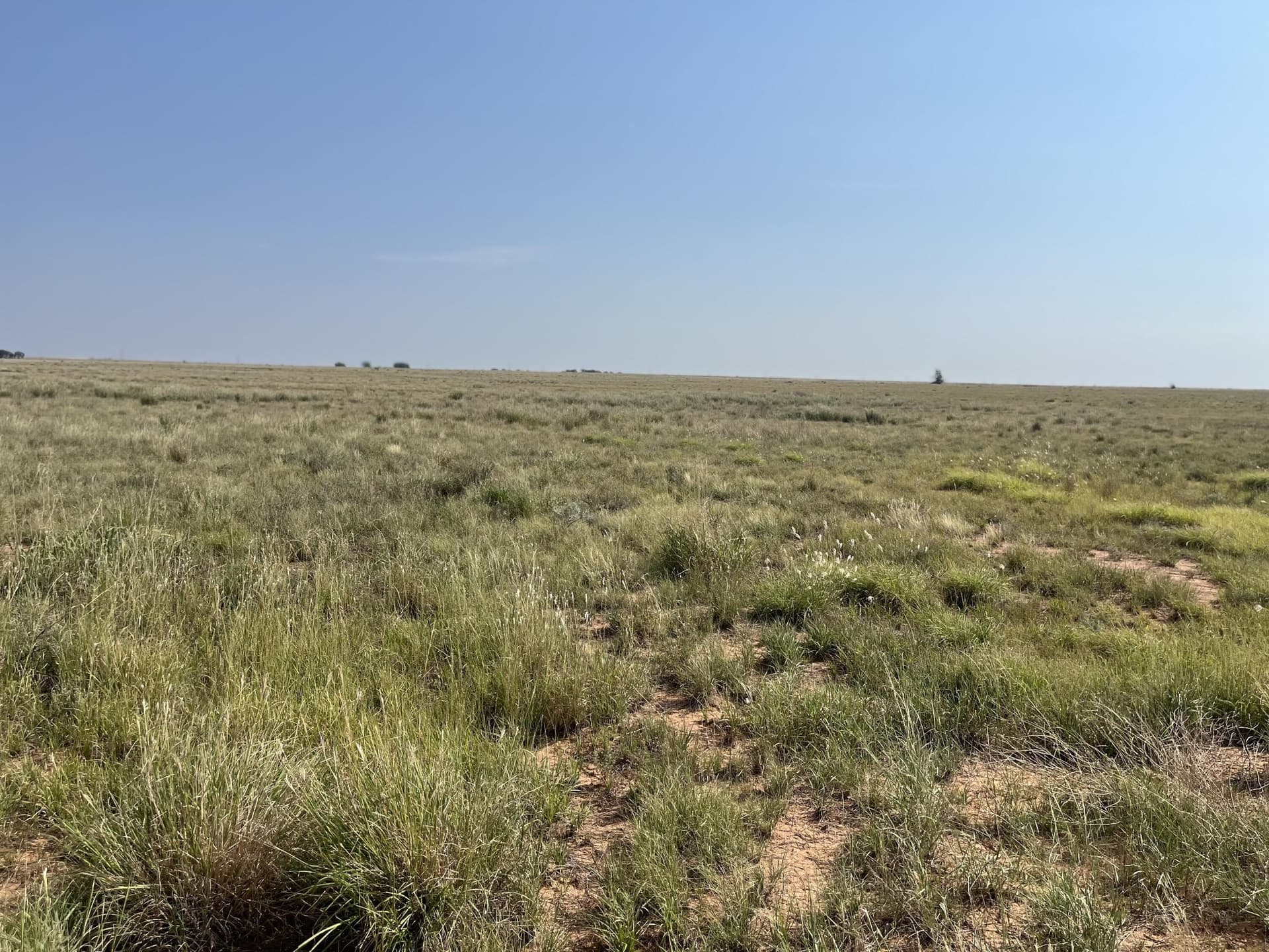 88.5 acres in Hockley County - photo 6