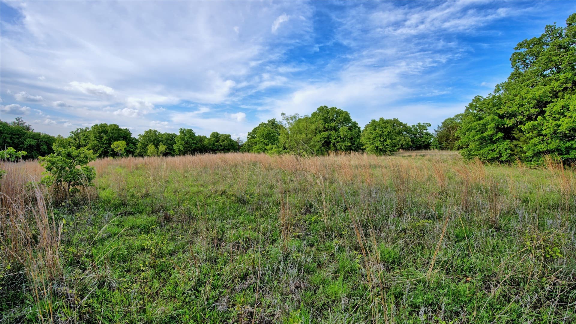 13.34 acres in Montague County - photo 9