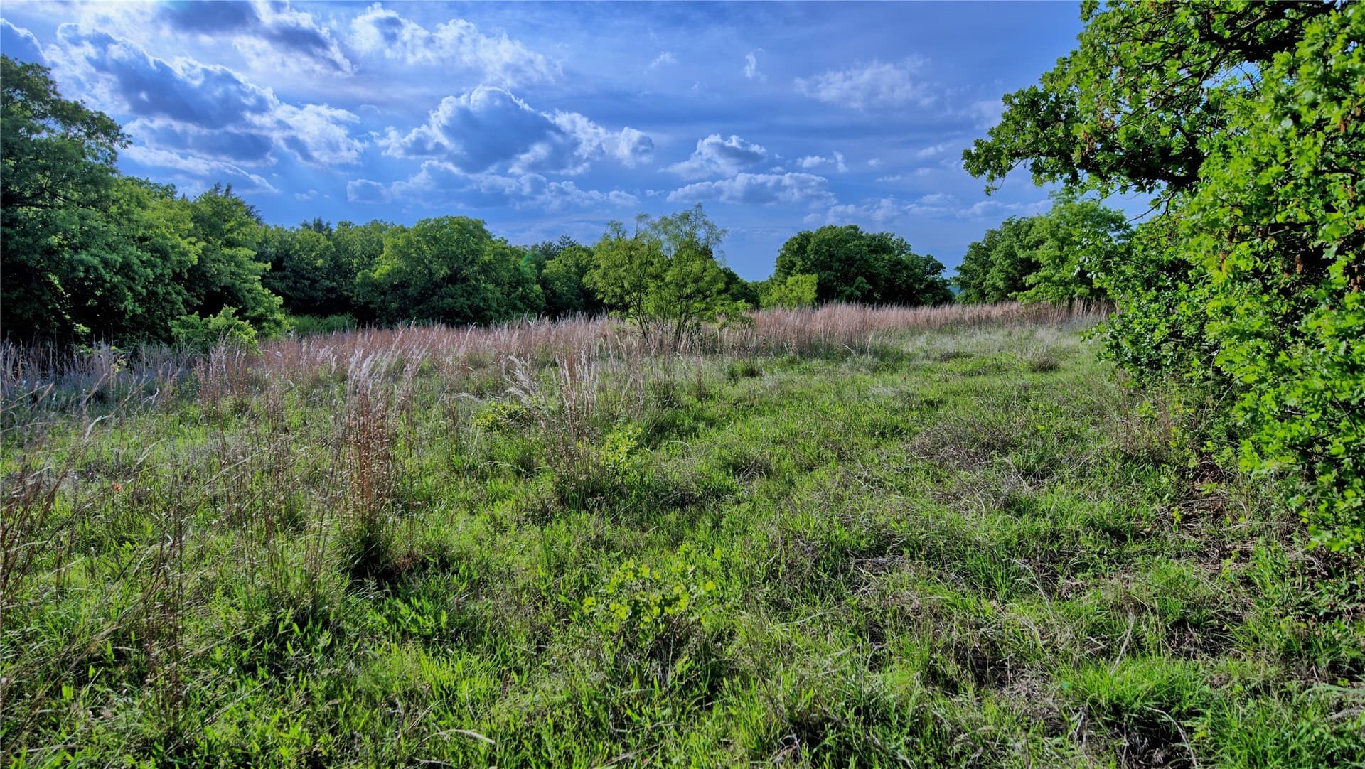 13.34 acres in Montague County - photo 21