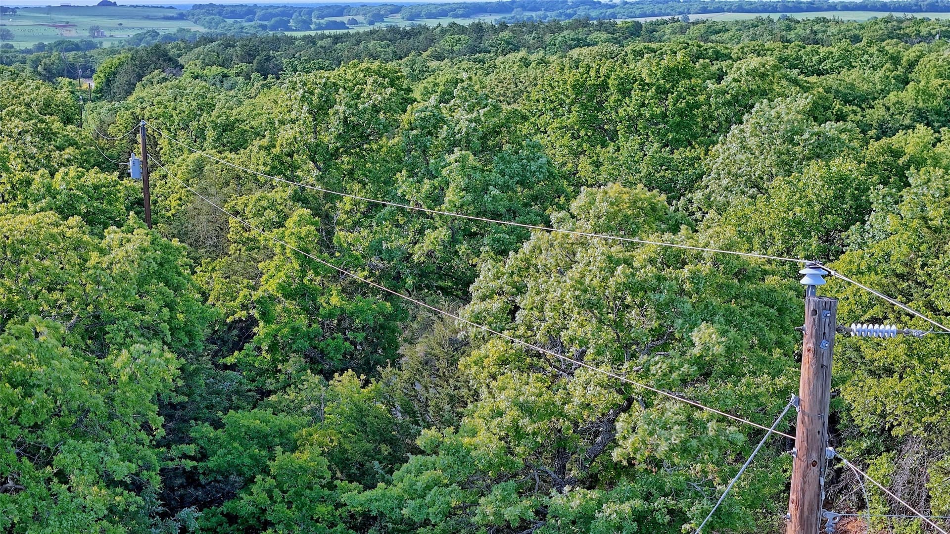 13.34 acres in Montague County - photo 15
