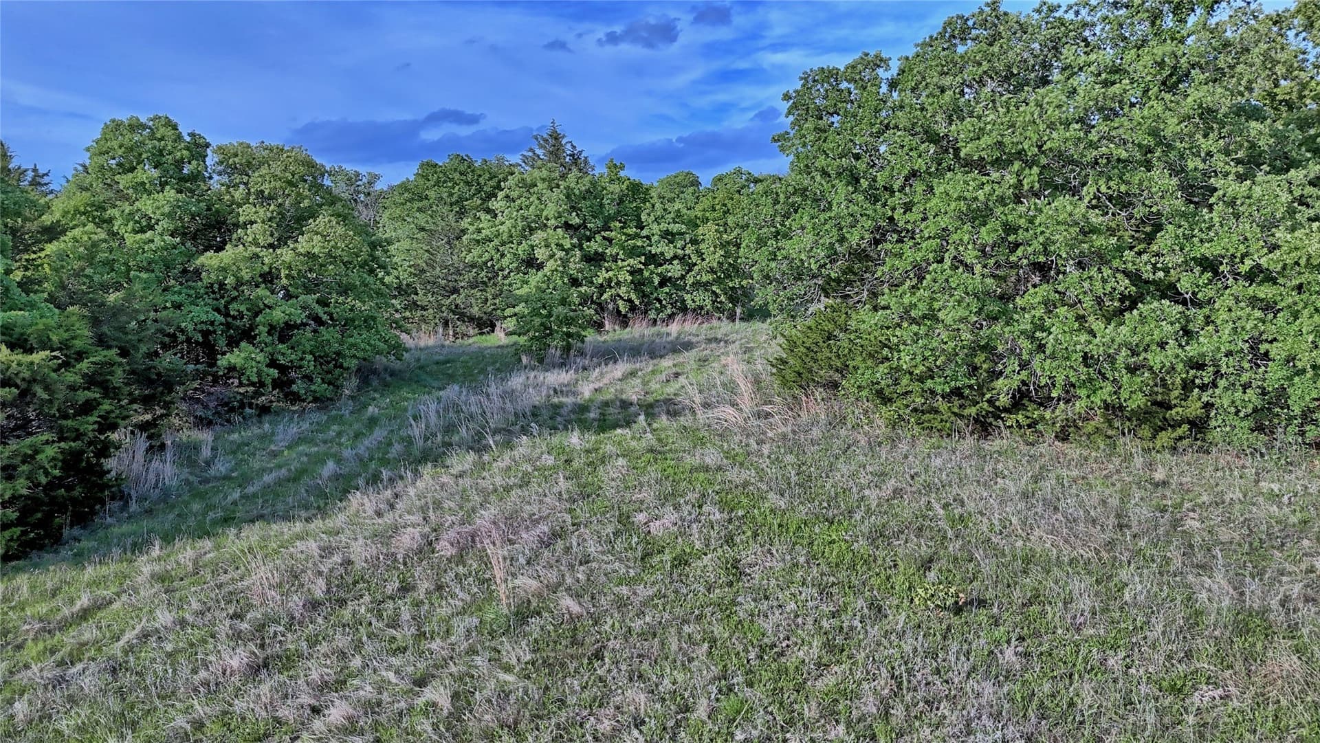 13.34 acres in Montague County - photo 8