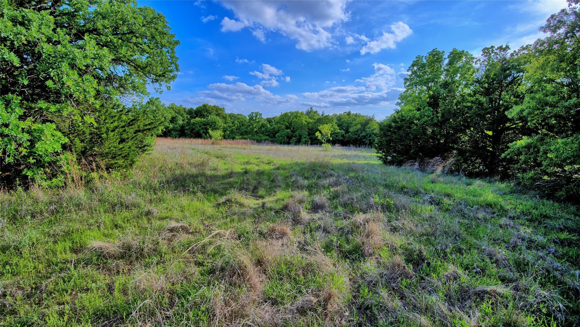 13.34 acres in Montague County - photo 11