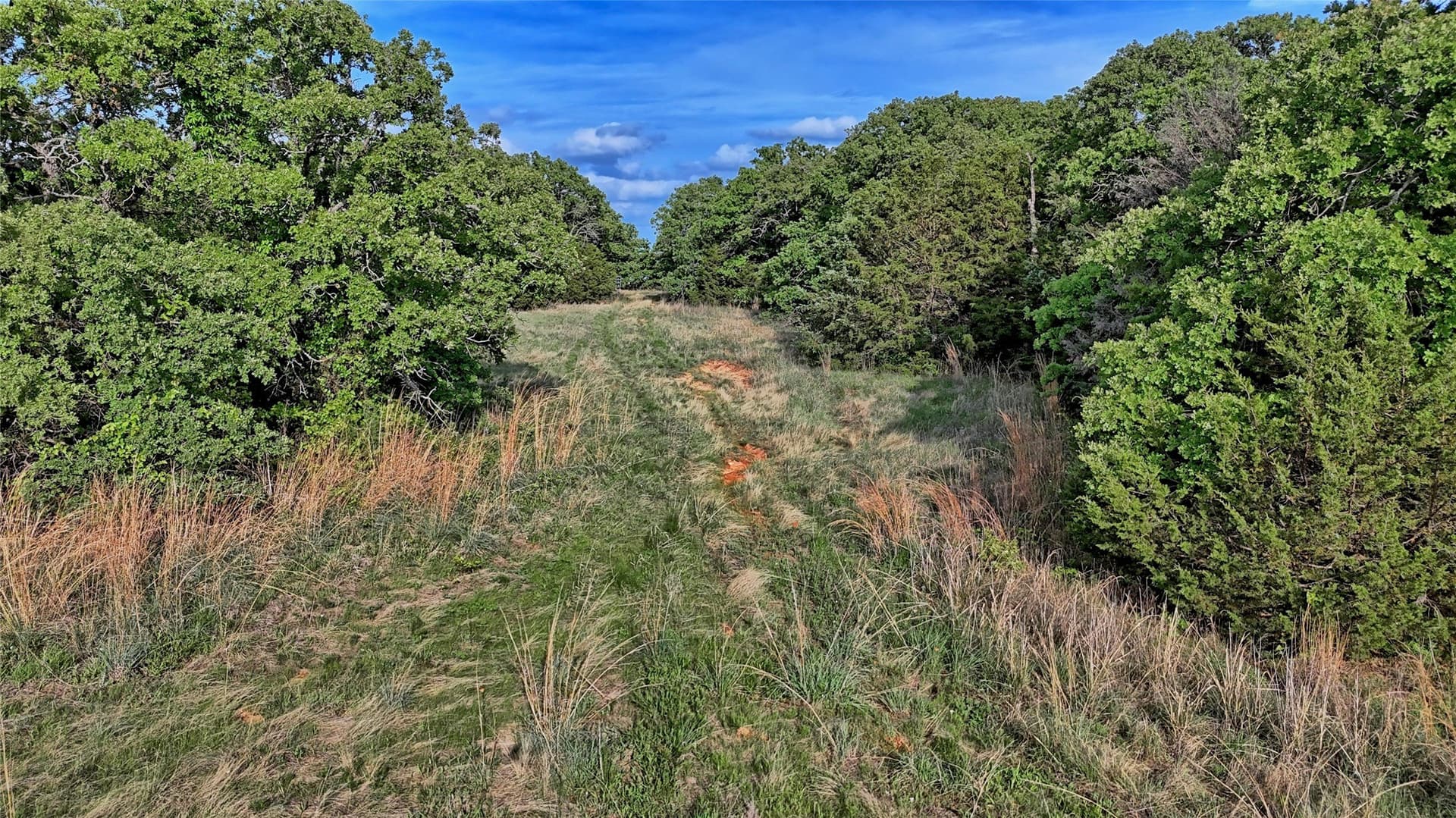 13.34 acres in Montague County - photo 12