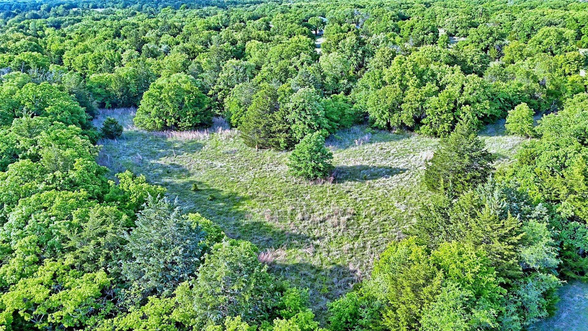 13.34 acres in Montague County - photo 20