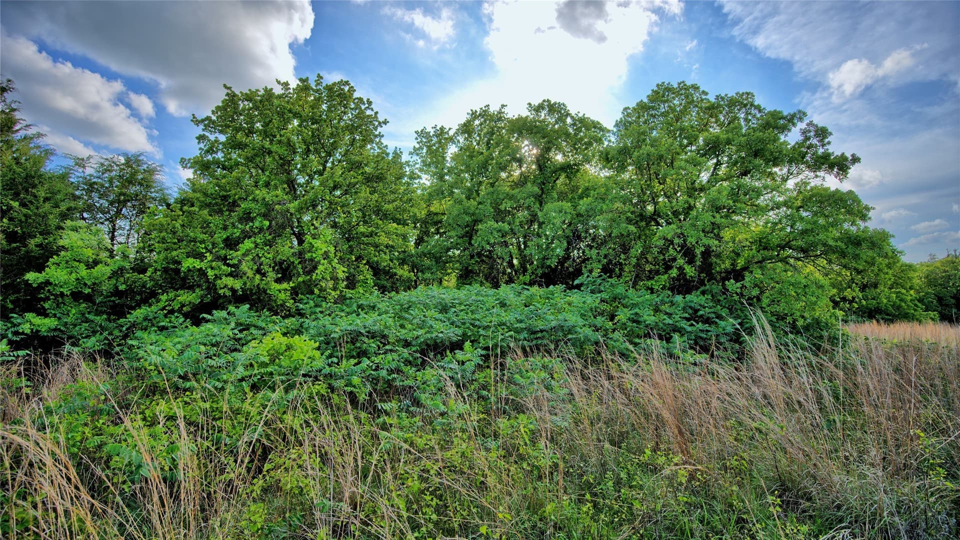 13.34 acres in Montague County - photo 6