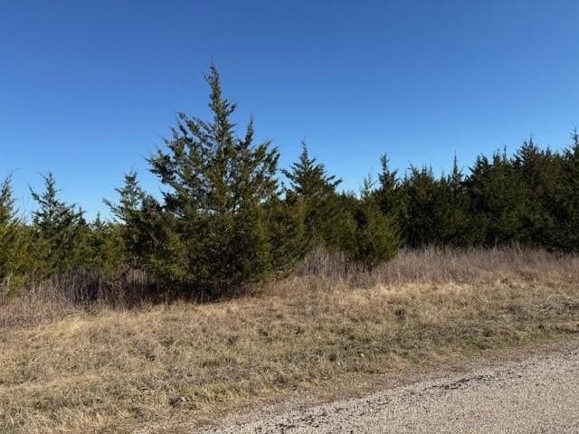 10.15 acres in Lamar County gallery image 3