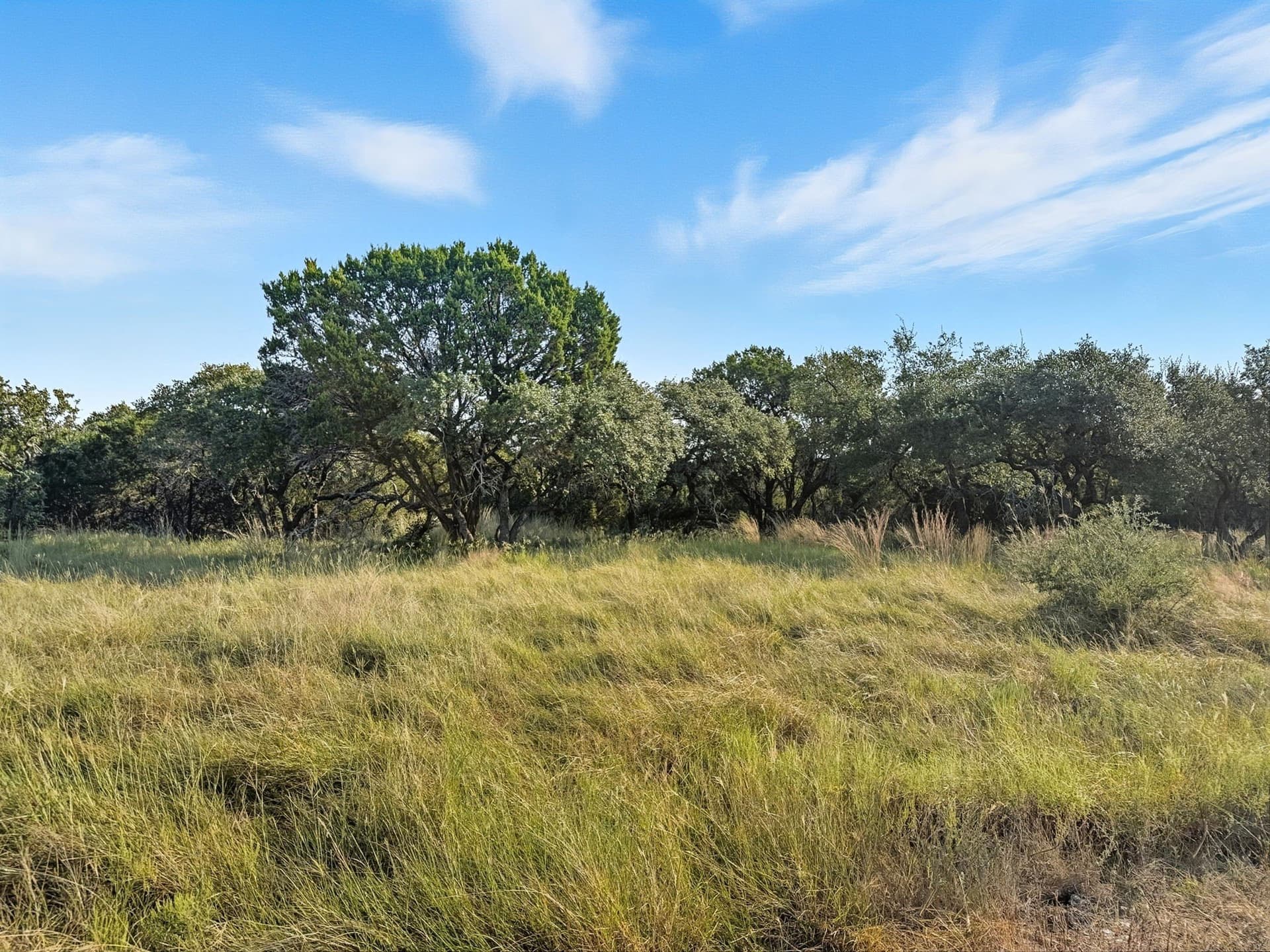 10.01 acres in Hamilton County - photo 7