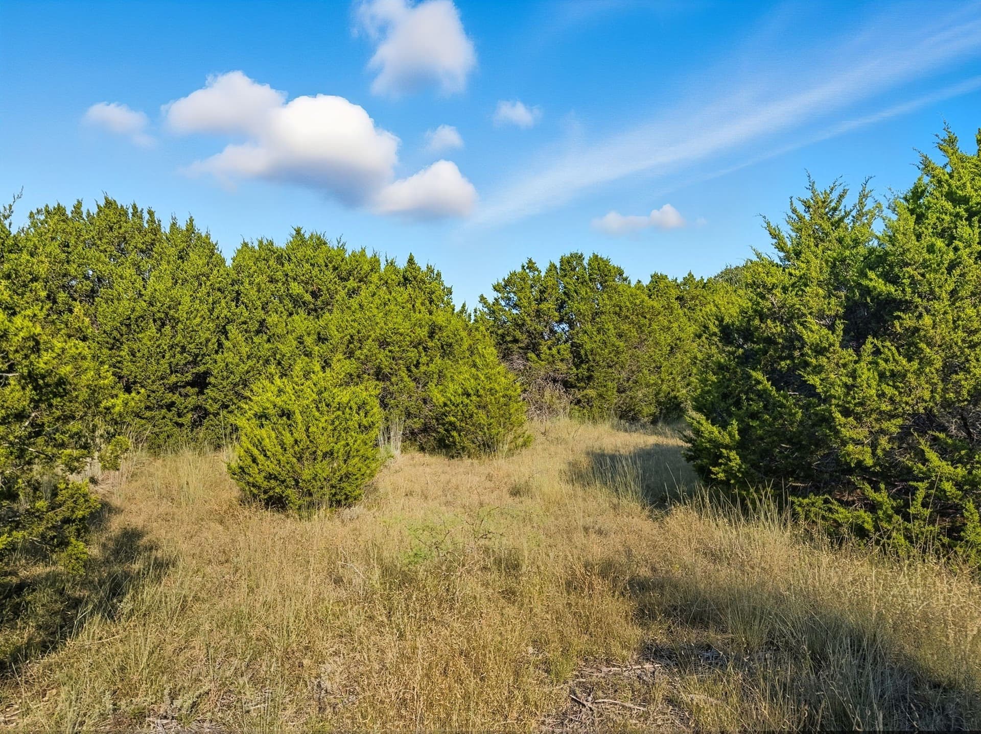 10.01 acres in Hamilton County - photo 13