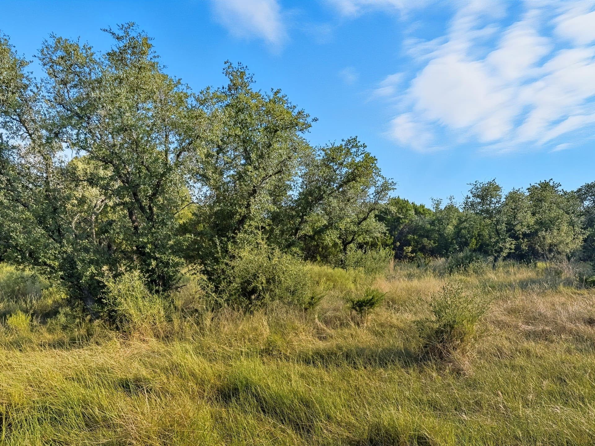 10.01 acres in Hamilton County - photo 6